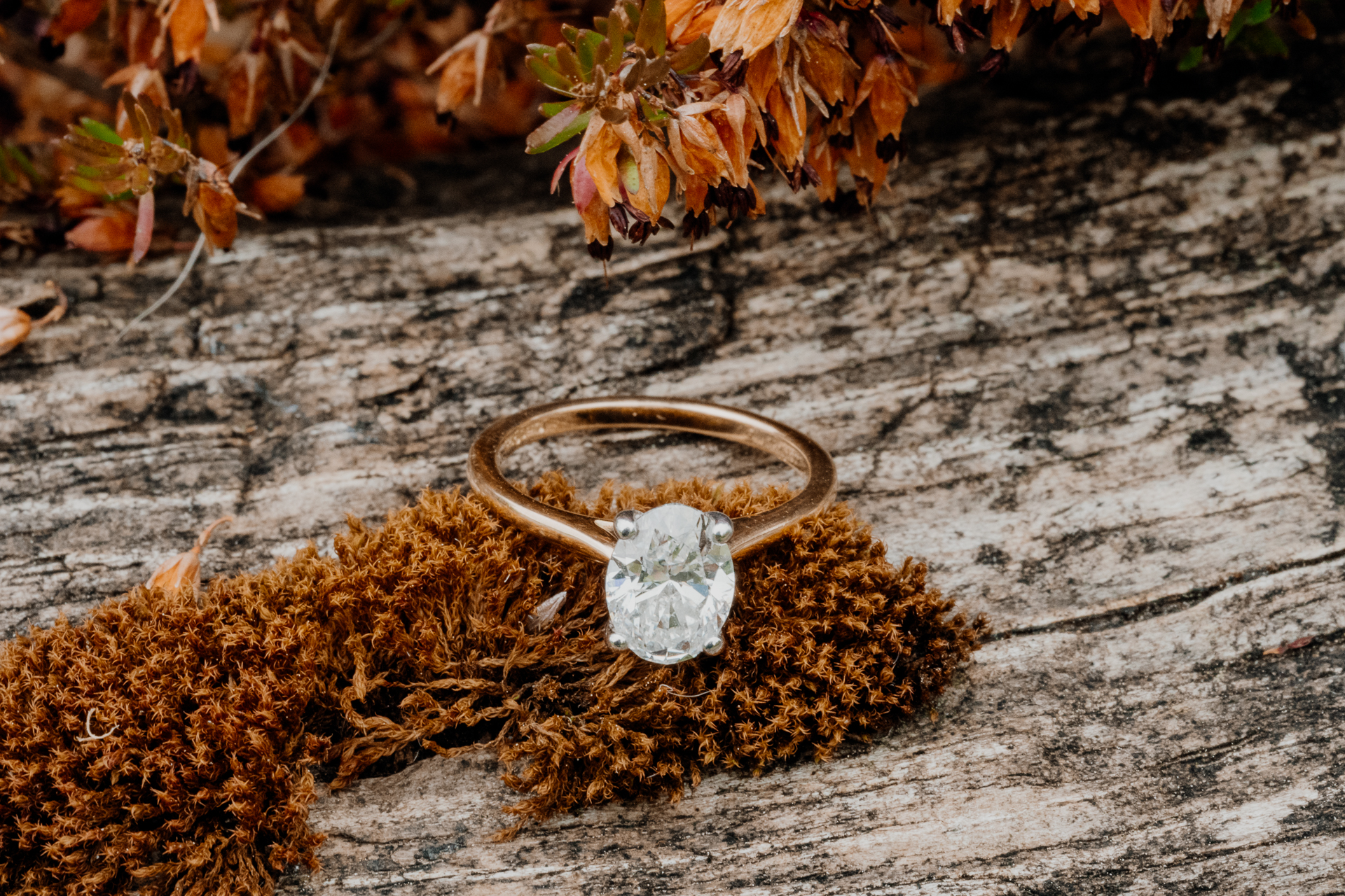 A ring on a rock