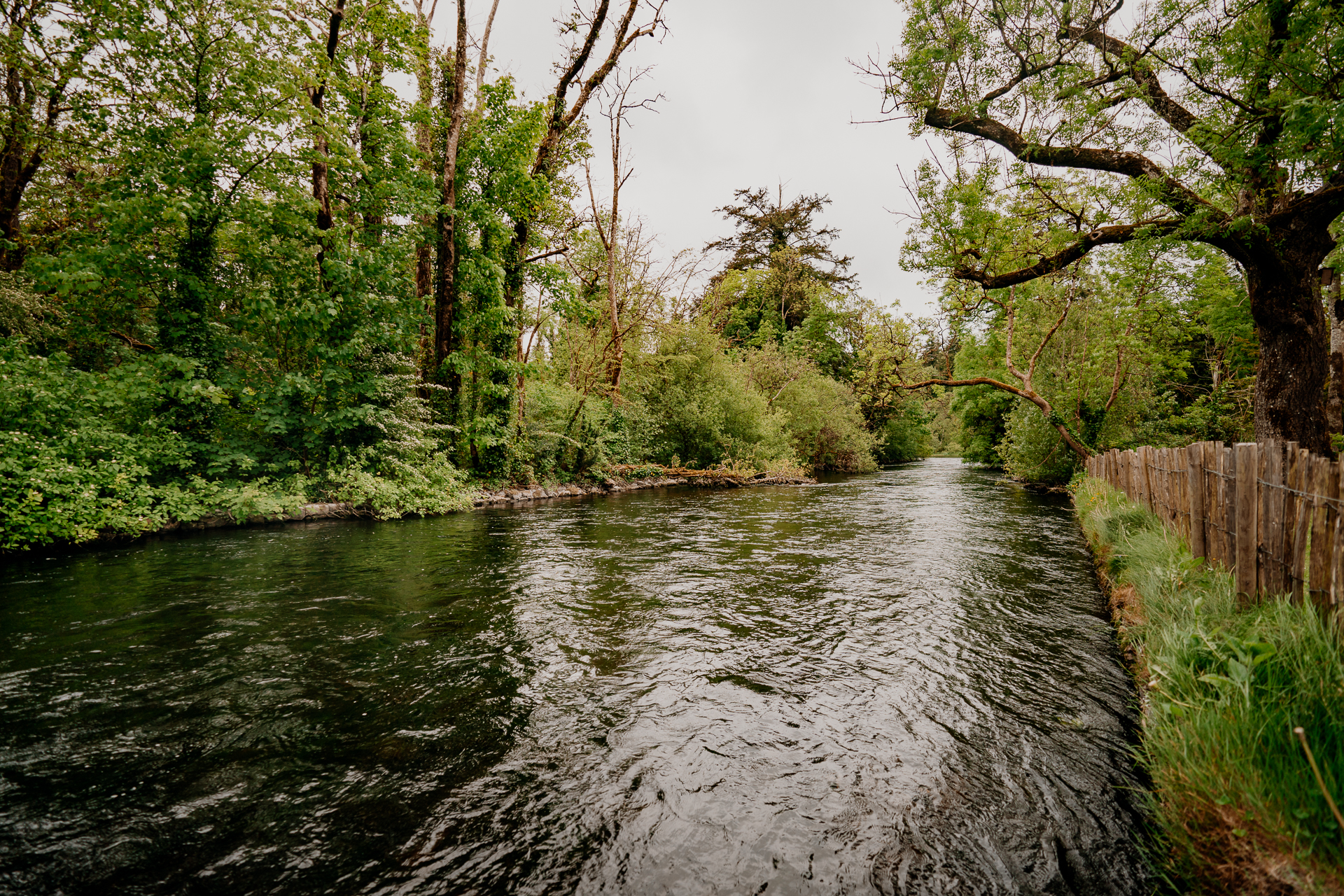 A river with trees on the side