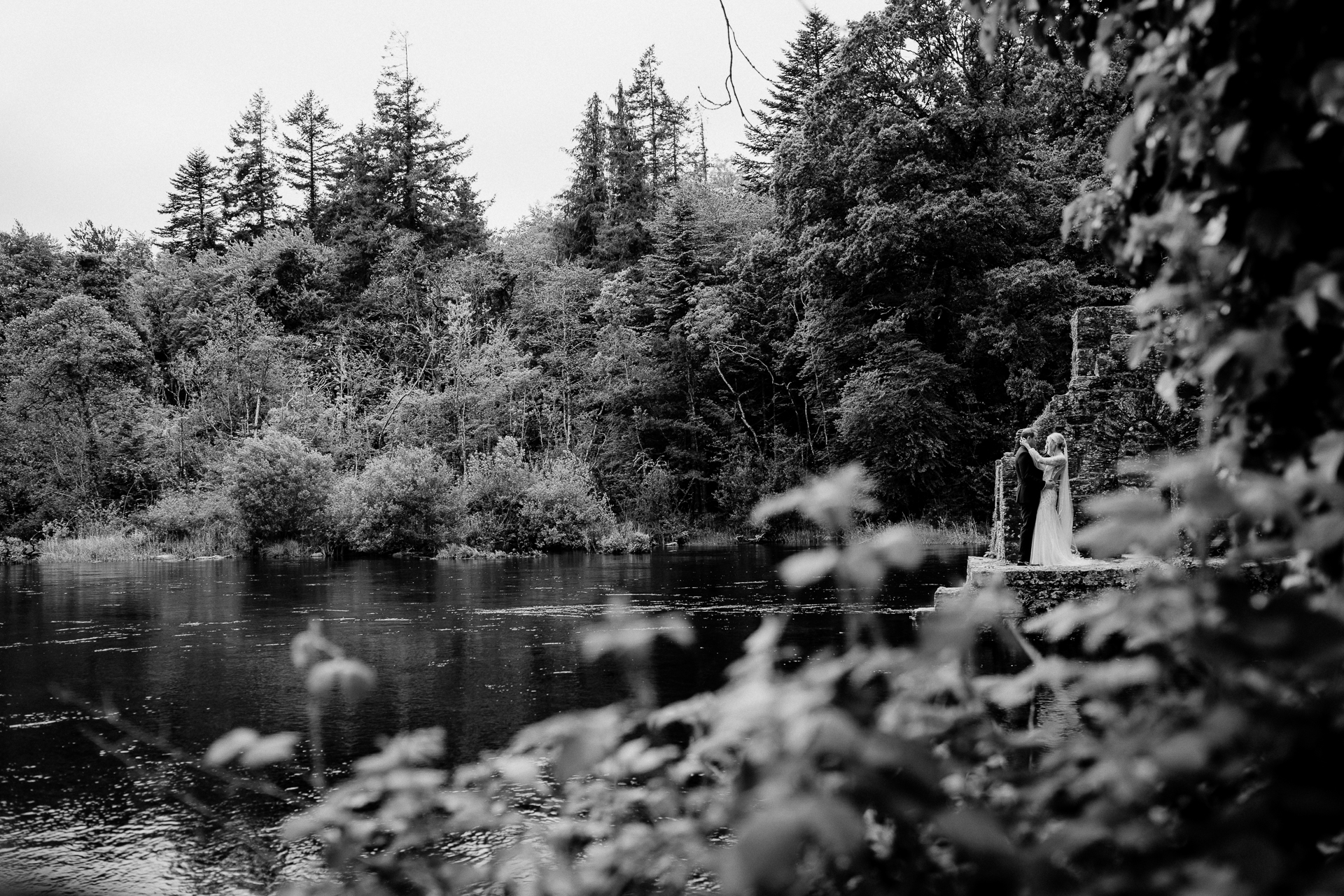 A lake surrounded by trees