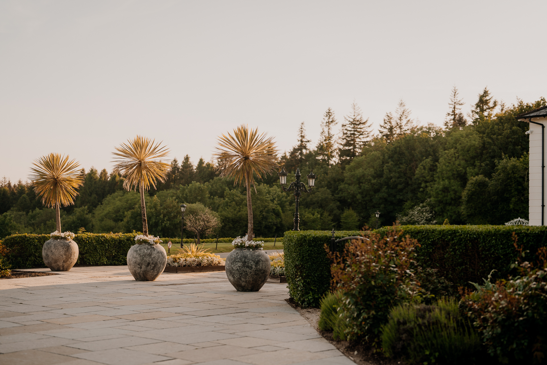 A courtyard with bushes and trees