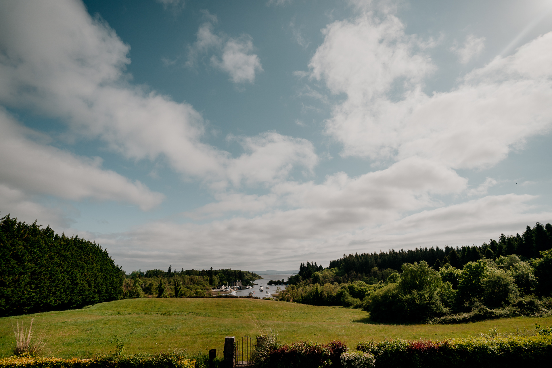 A grassy field with trees and a body of water in the background