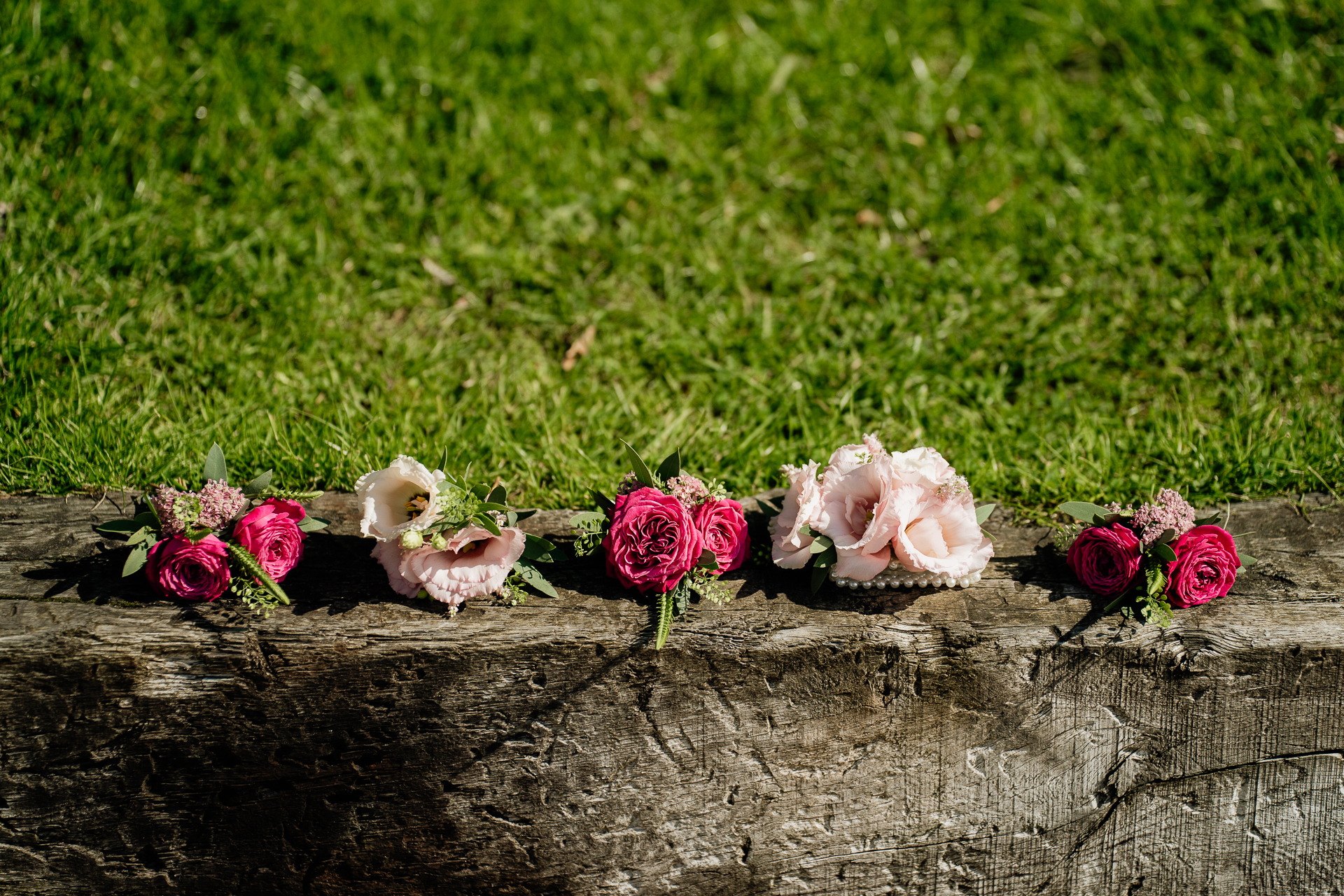 A group of roses