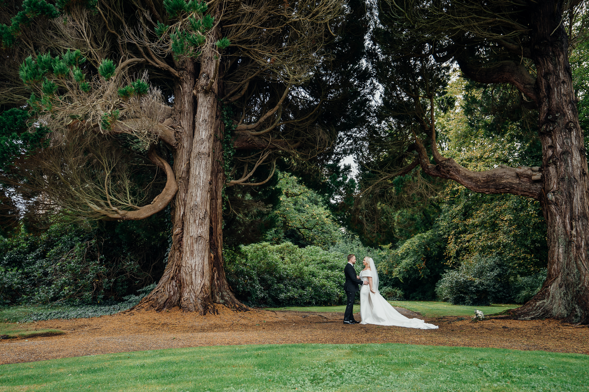 A bride and groom standing under a tree