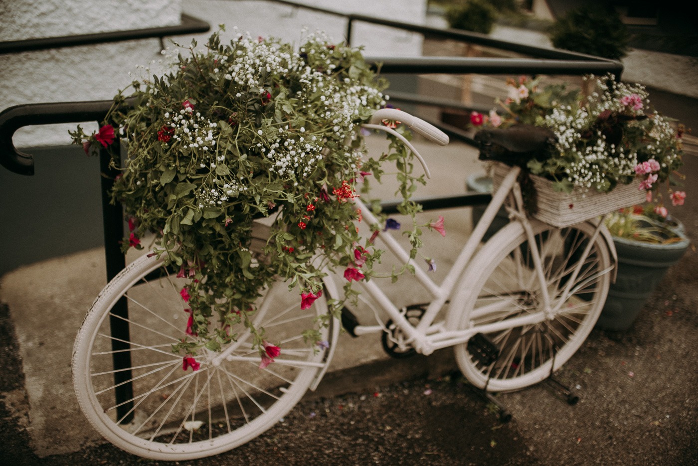 A bicycle parked in front of a flower