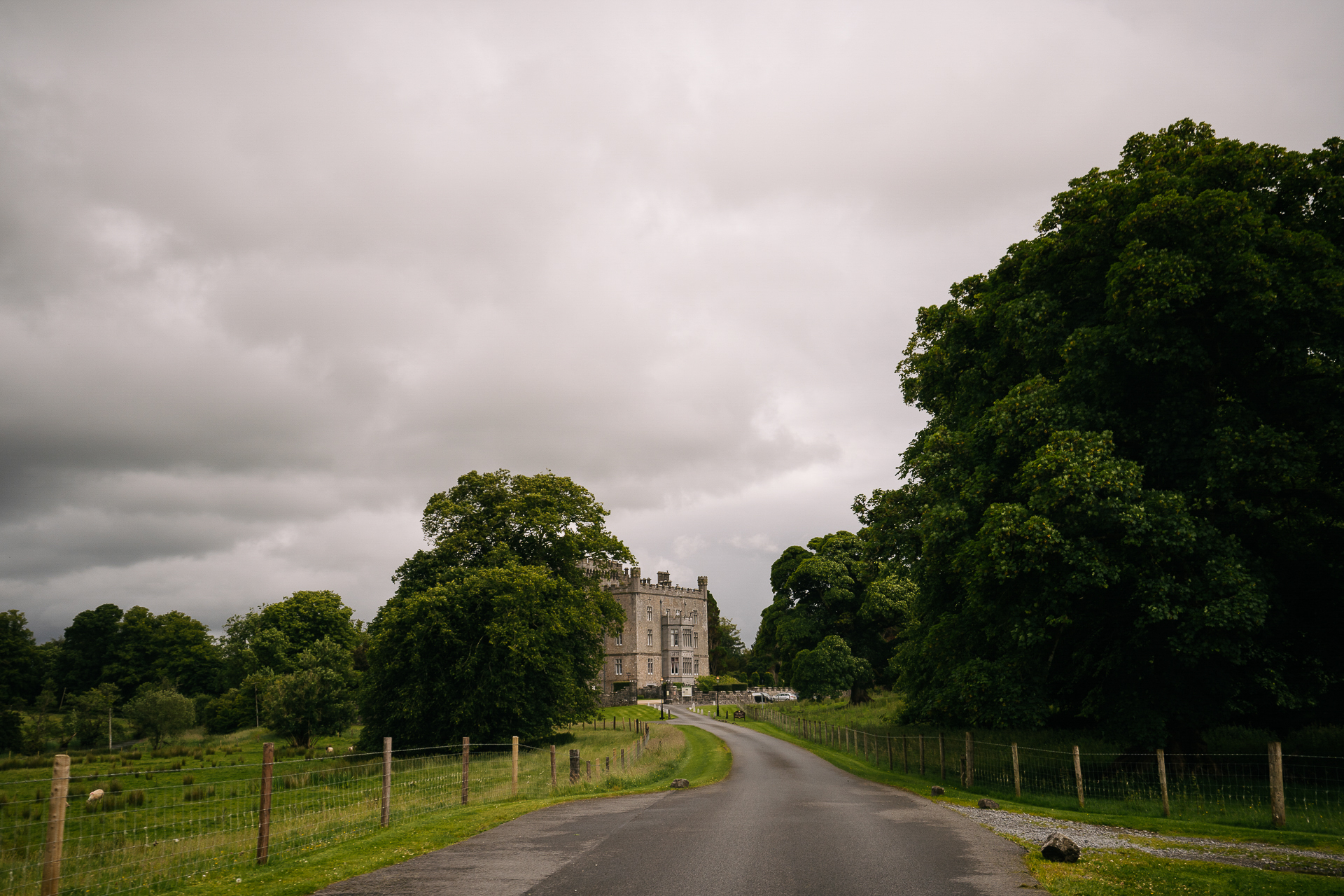 A road with trees and a building on the side