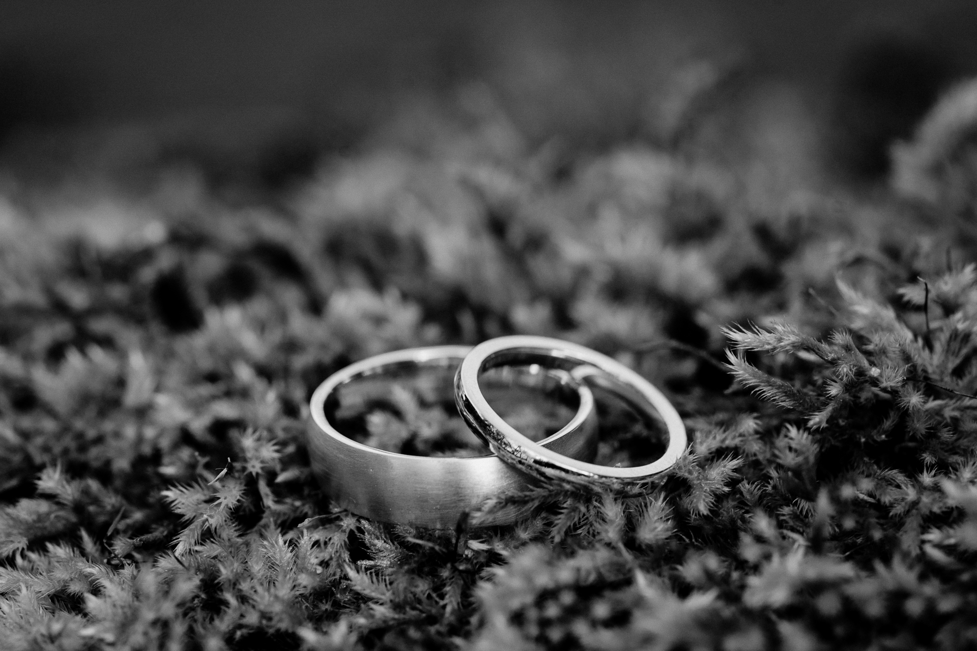 A pair of wedding rings on grass