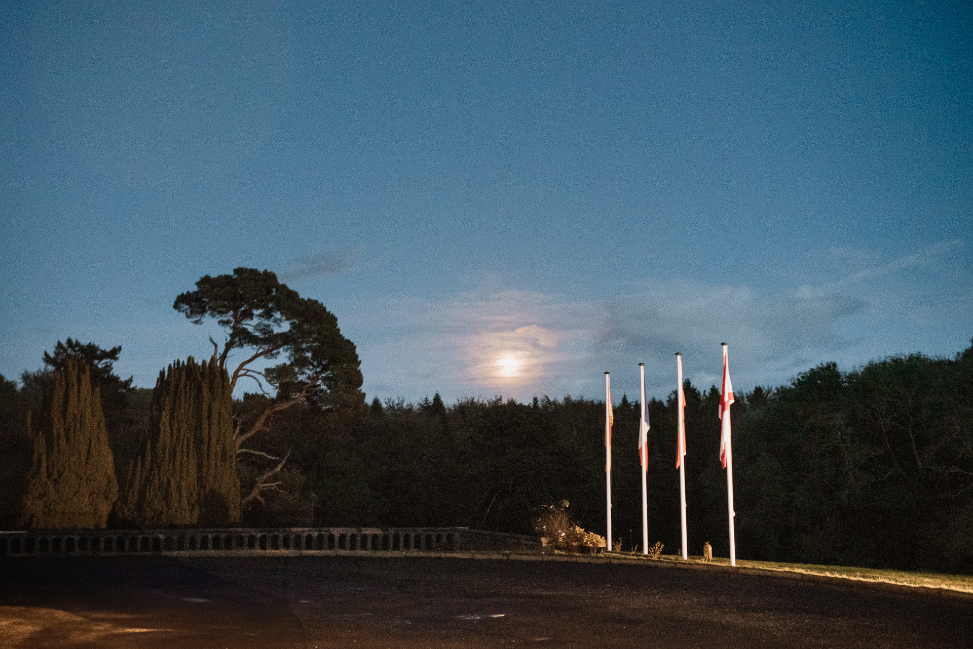 A road with trees and a flag