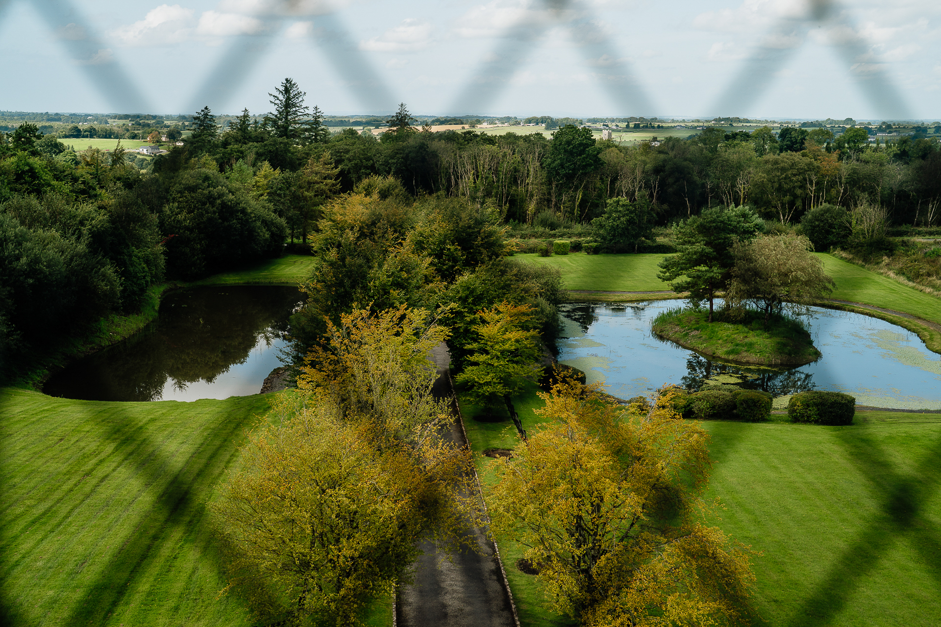 A river surrounded by trees and grass