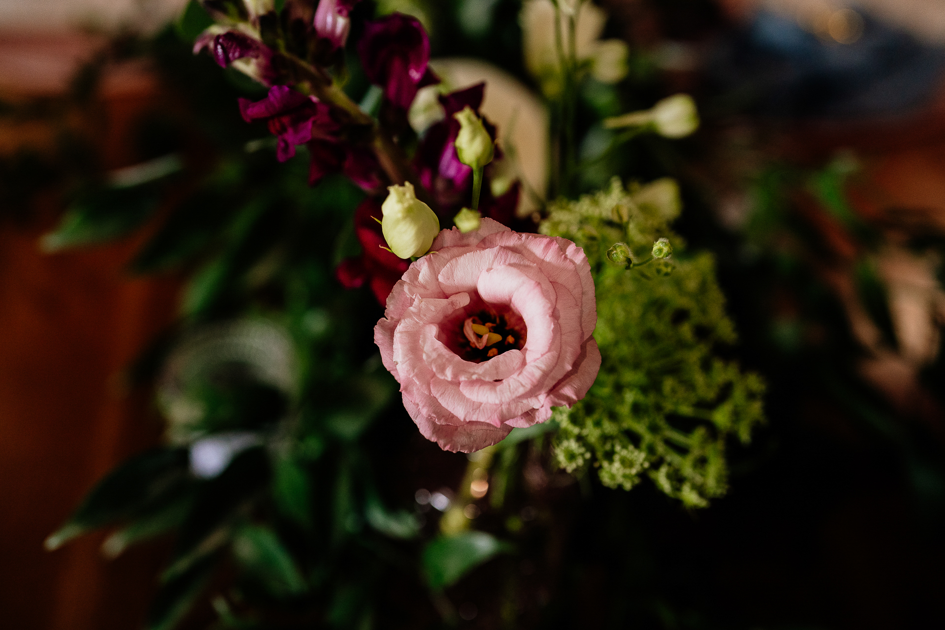 A close up of a flower