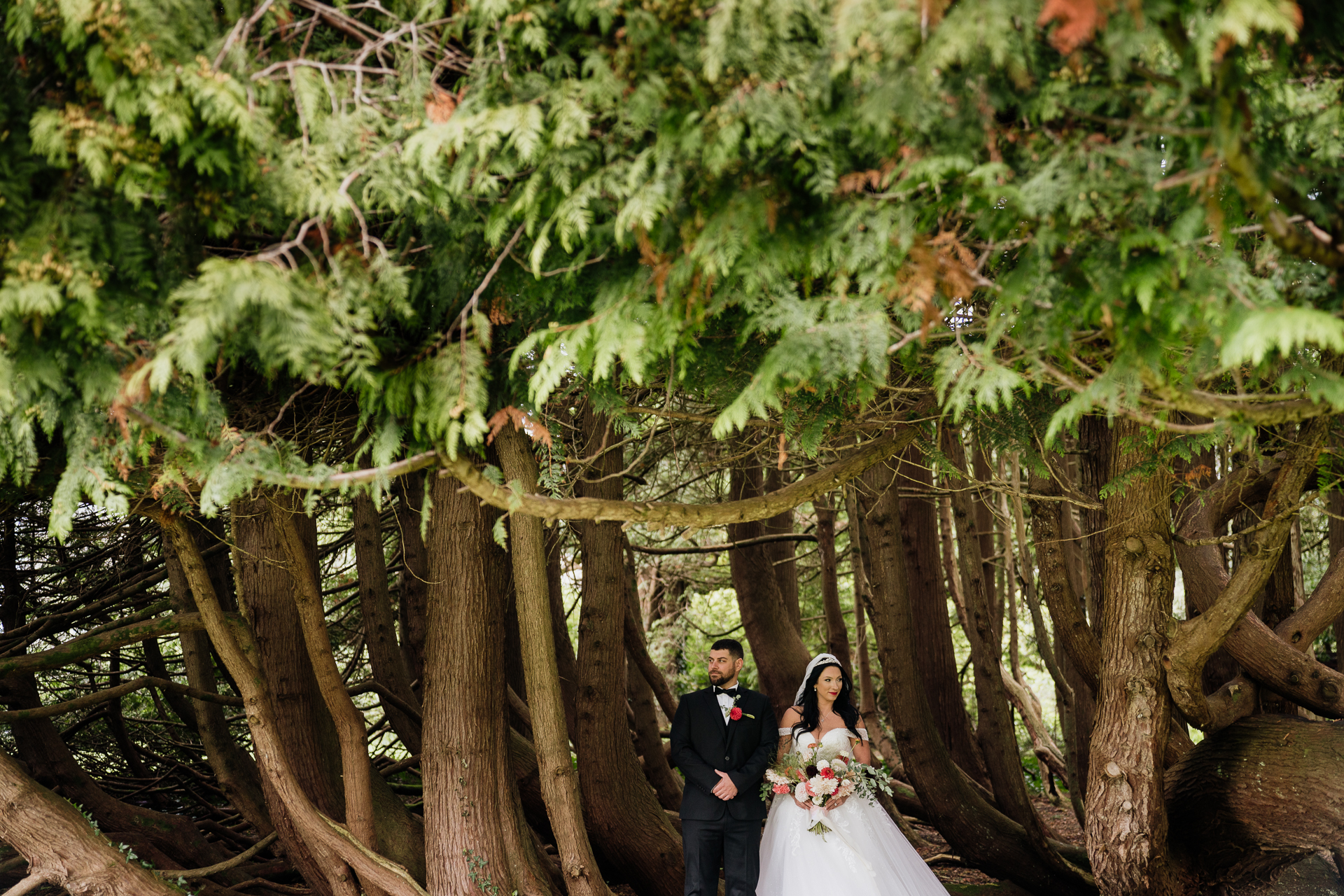 A man and woman in wedding attire standing under a tree