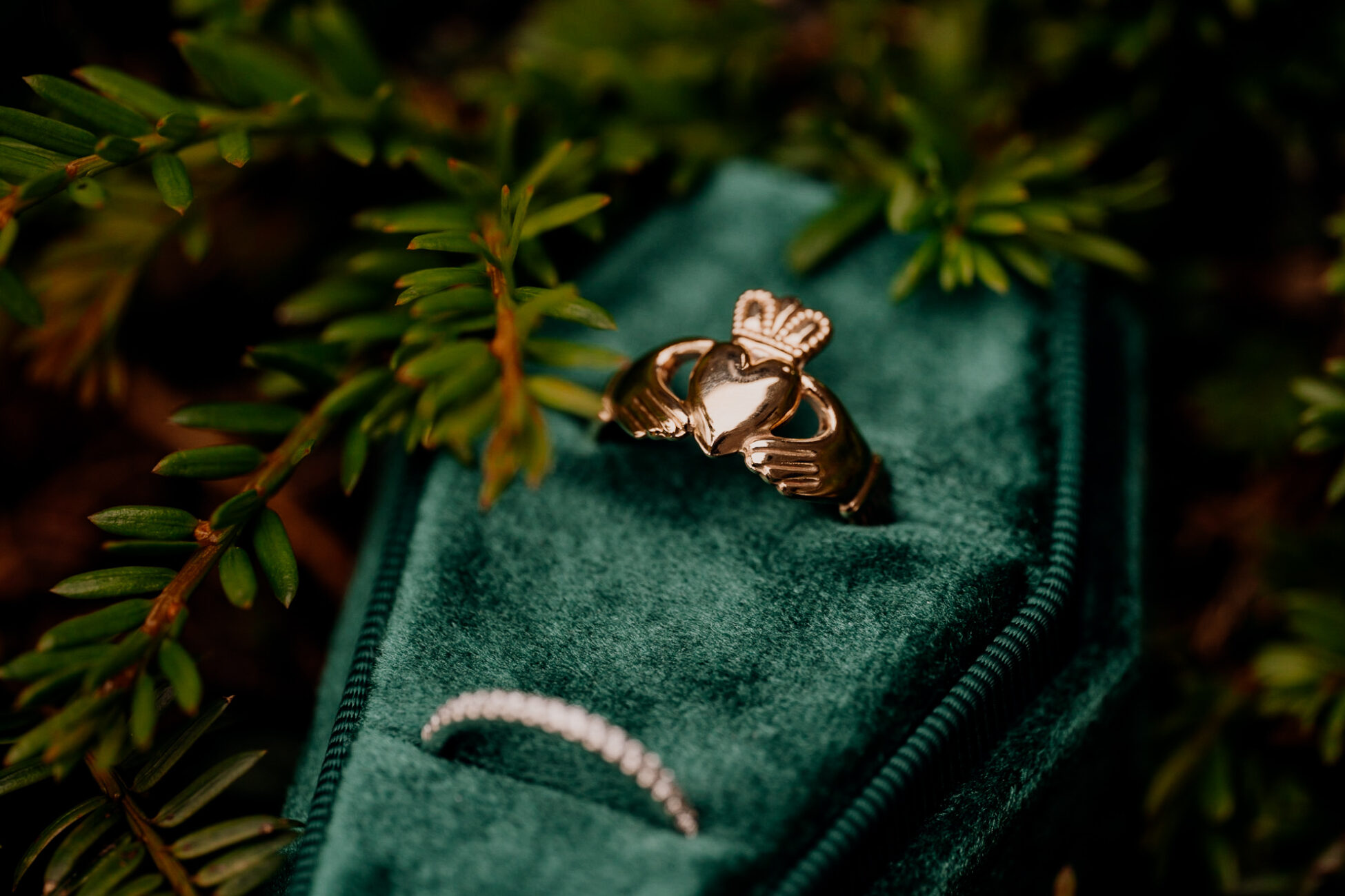 A butterfly on a rock