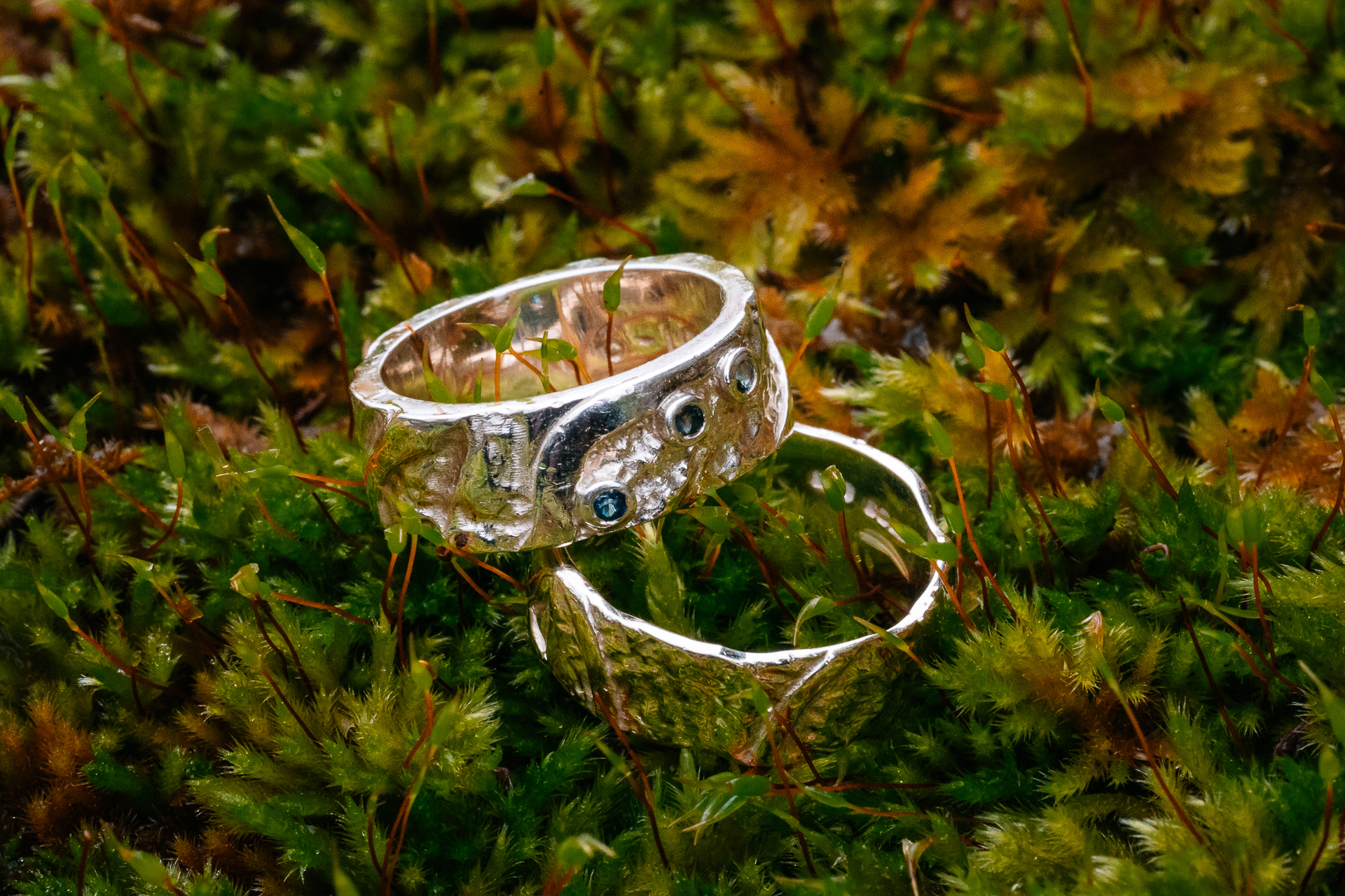 A glass bowl on a bush