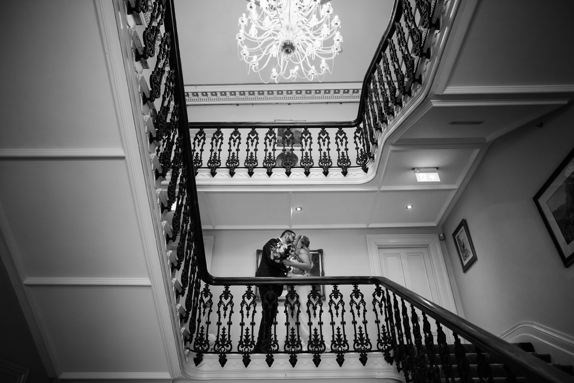 A dog sitting on a staircase