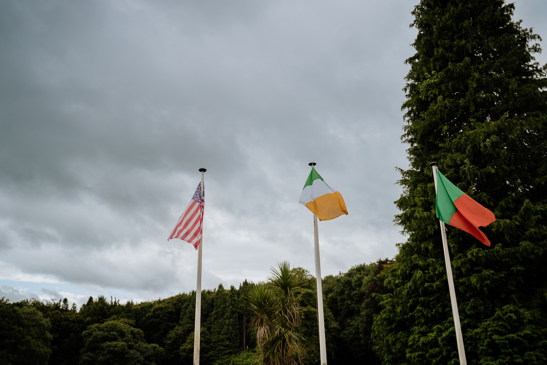 Flags on poles with trees in the background