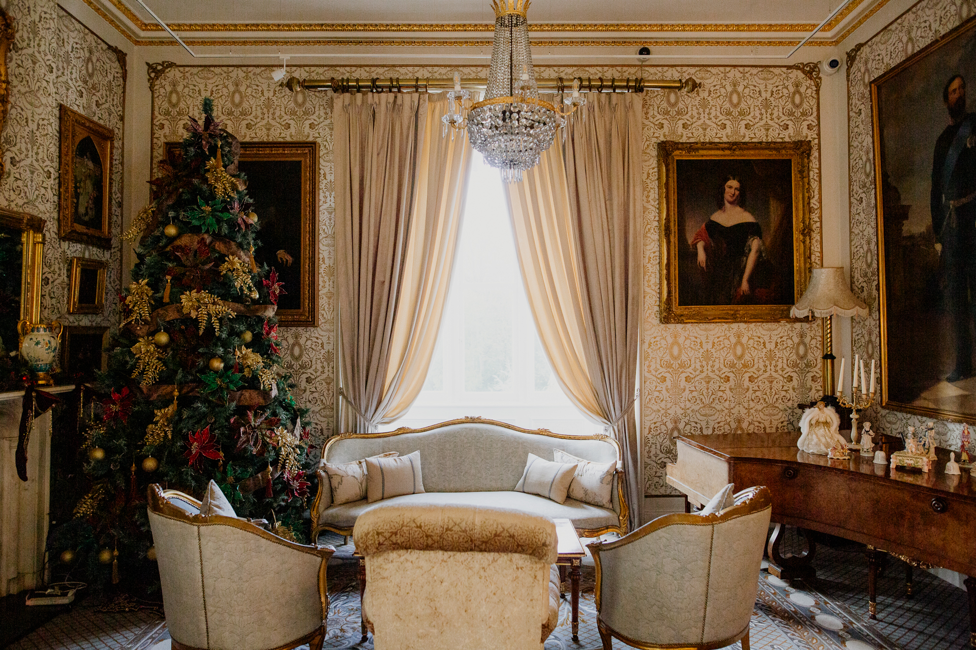 A living room with a christmas tree