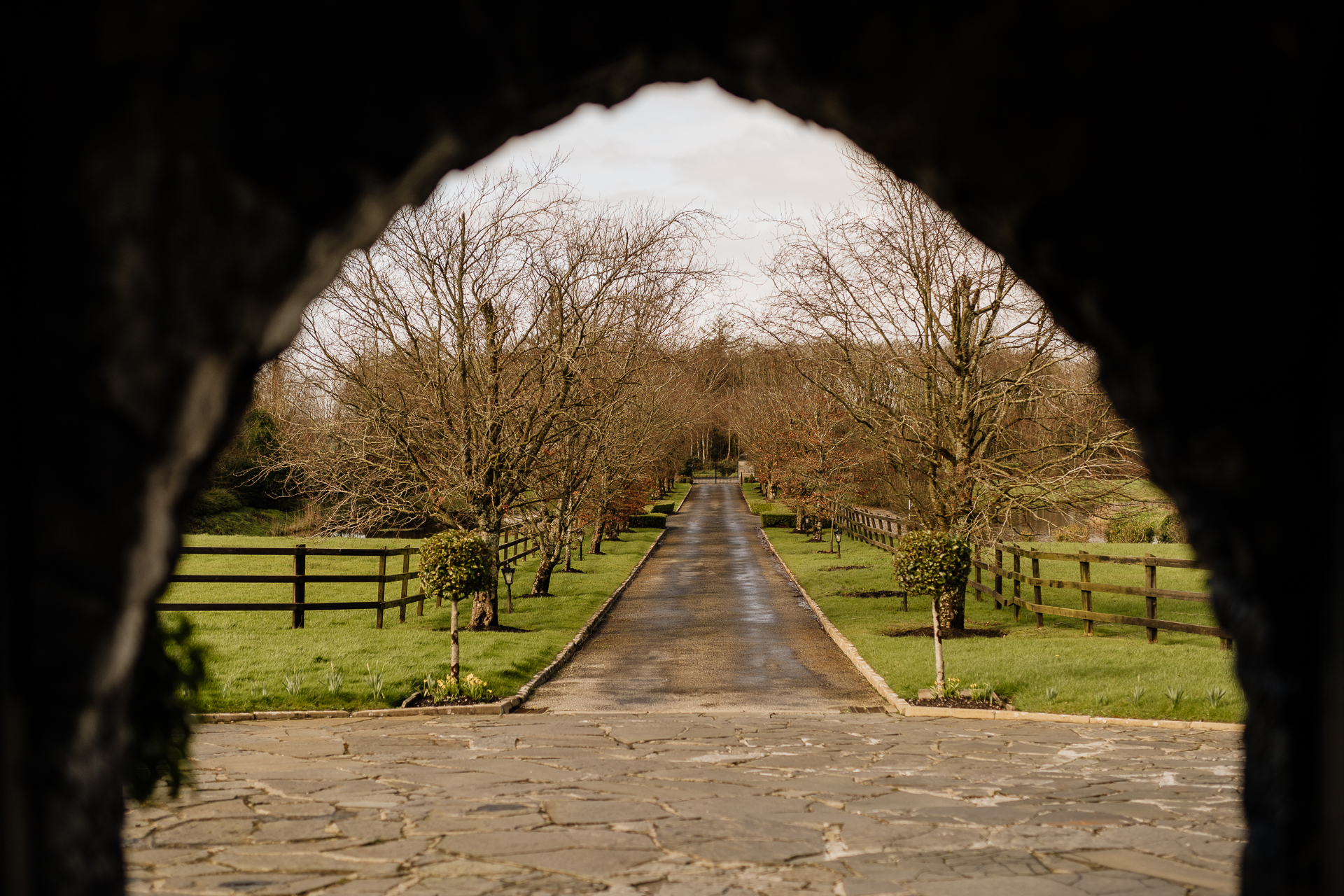 A path with trees on the side