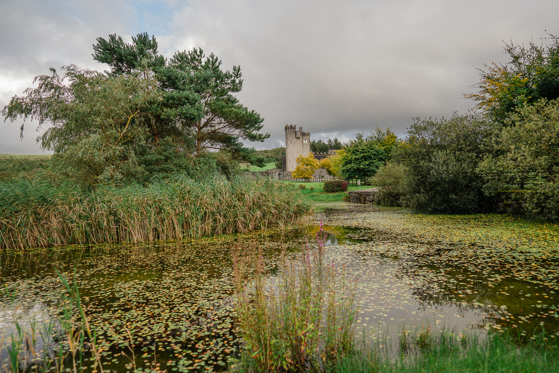 A small pond with a castle in the background