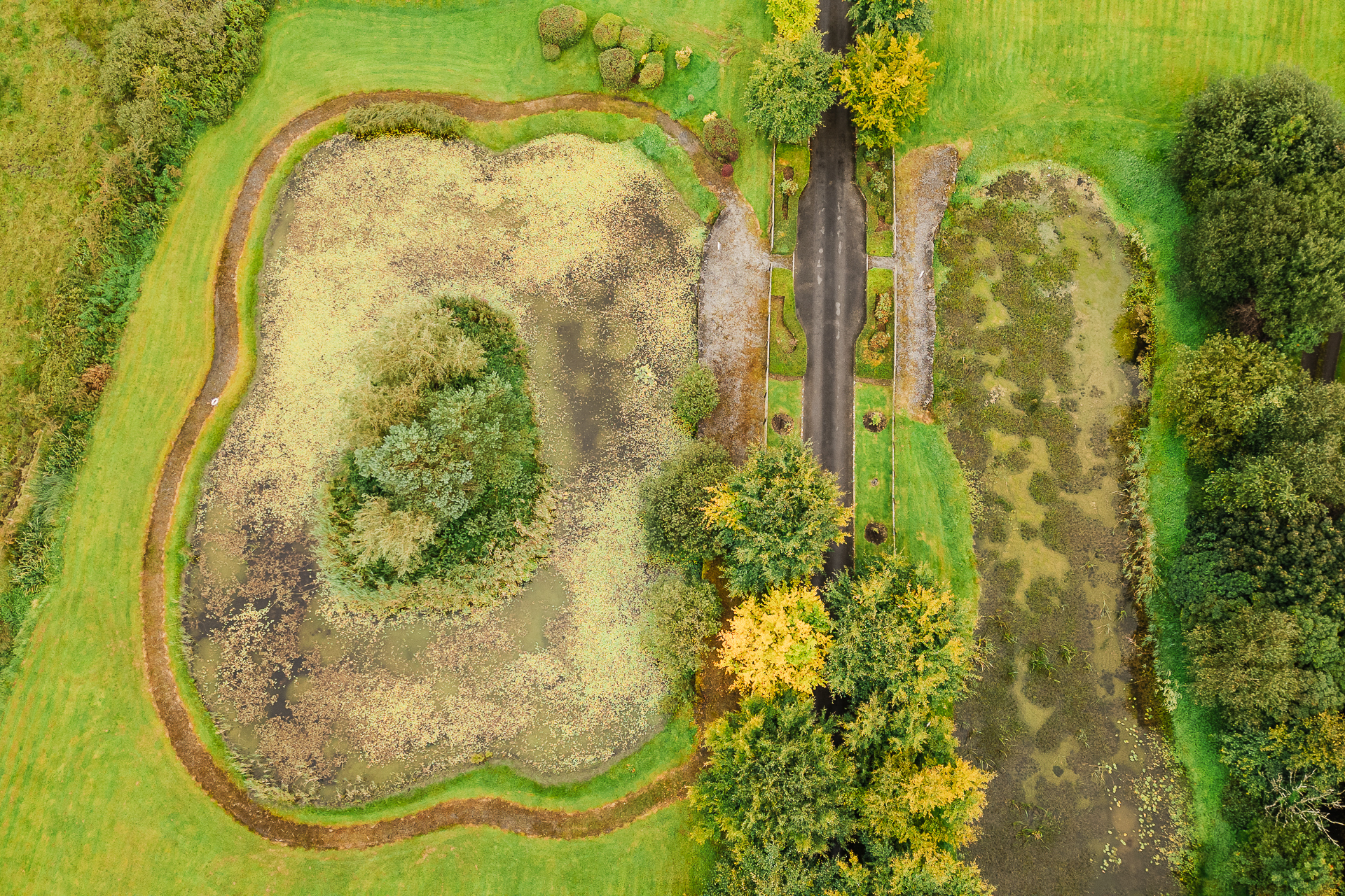 A large green landscape