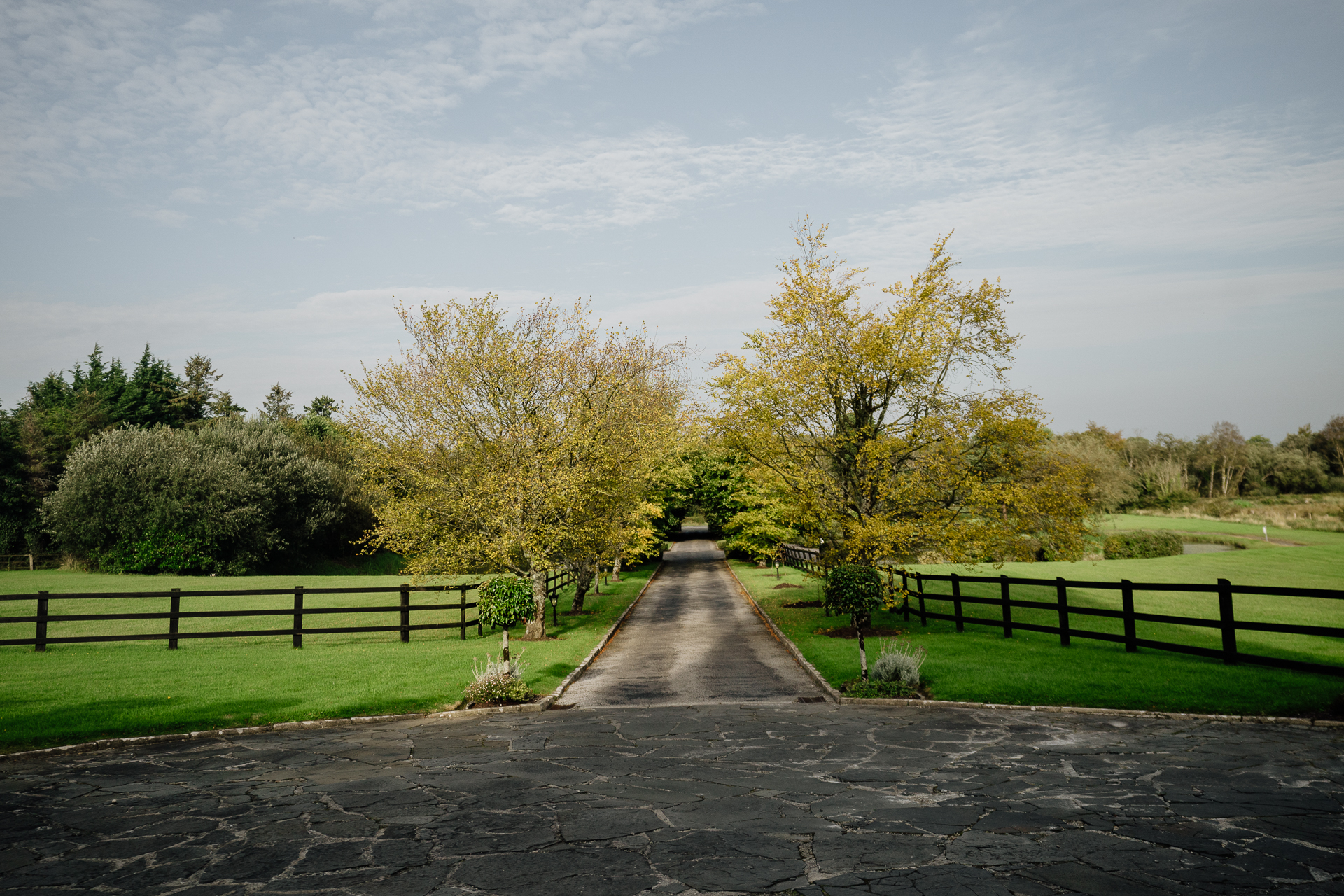 A path with trees on the side