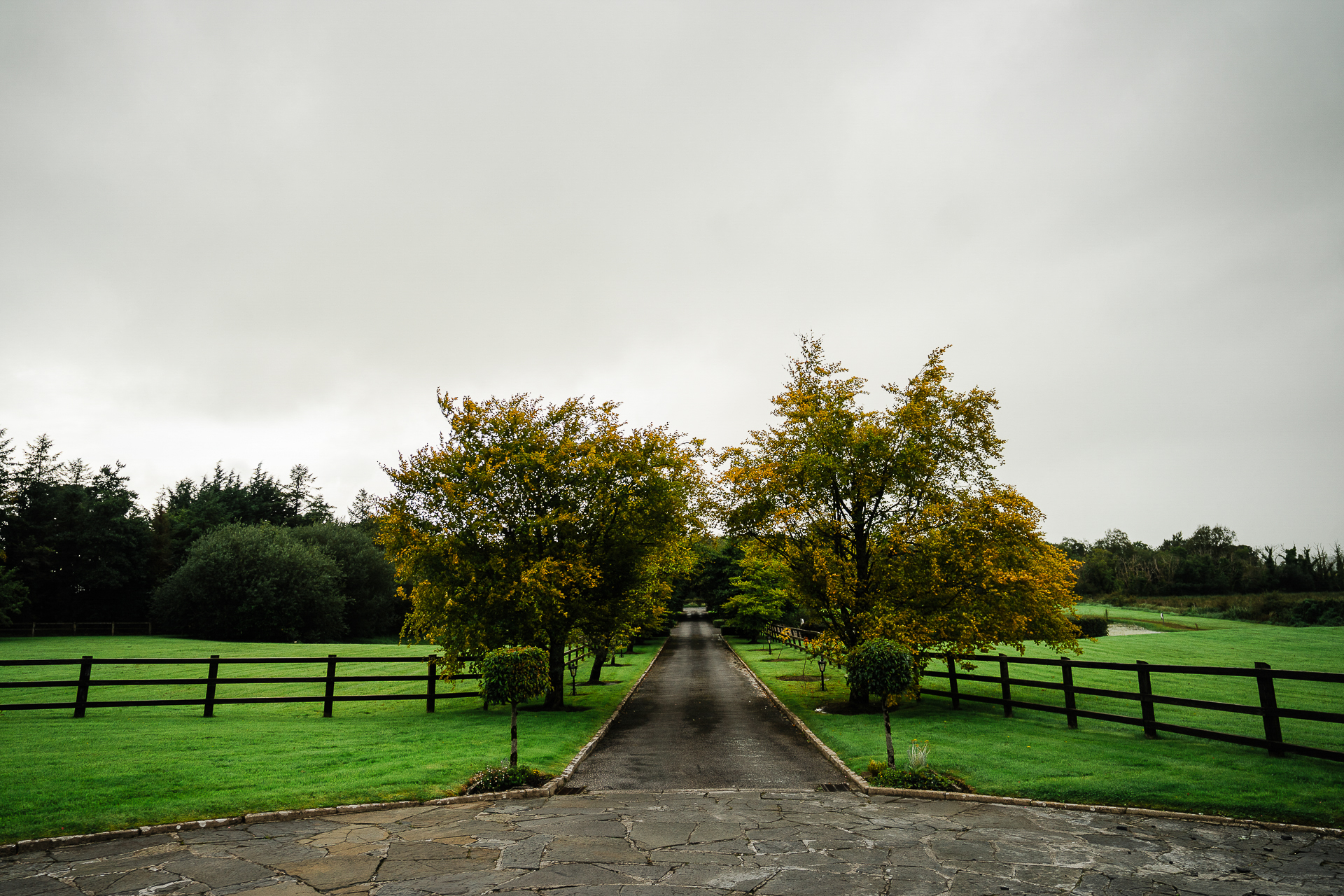 A path with trees on the side