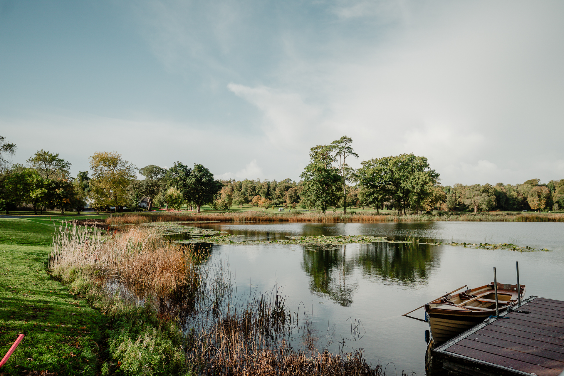 A body of water with boats on it and trees around it