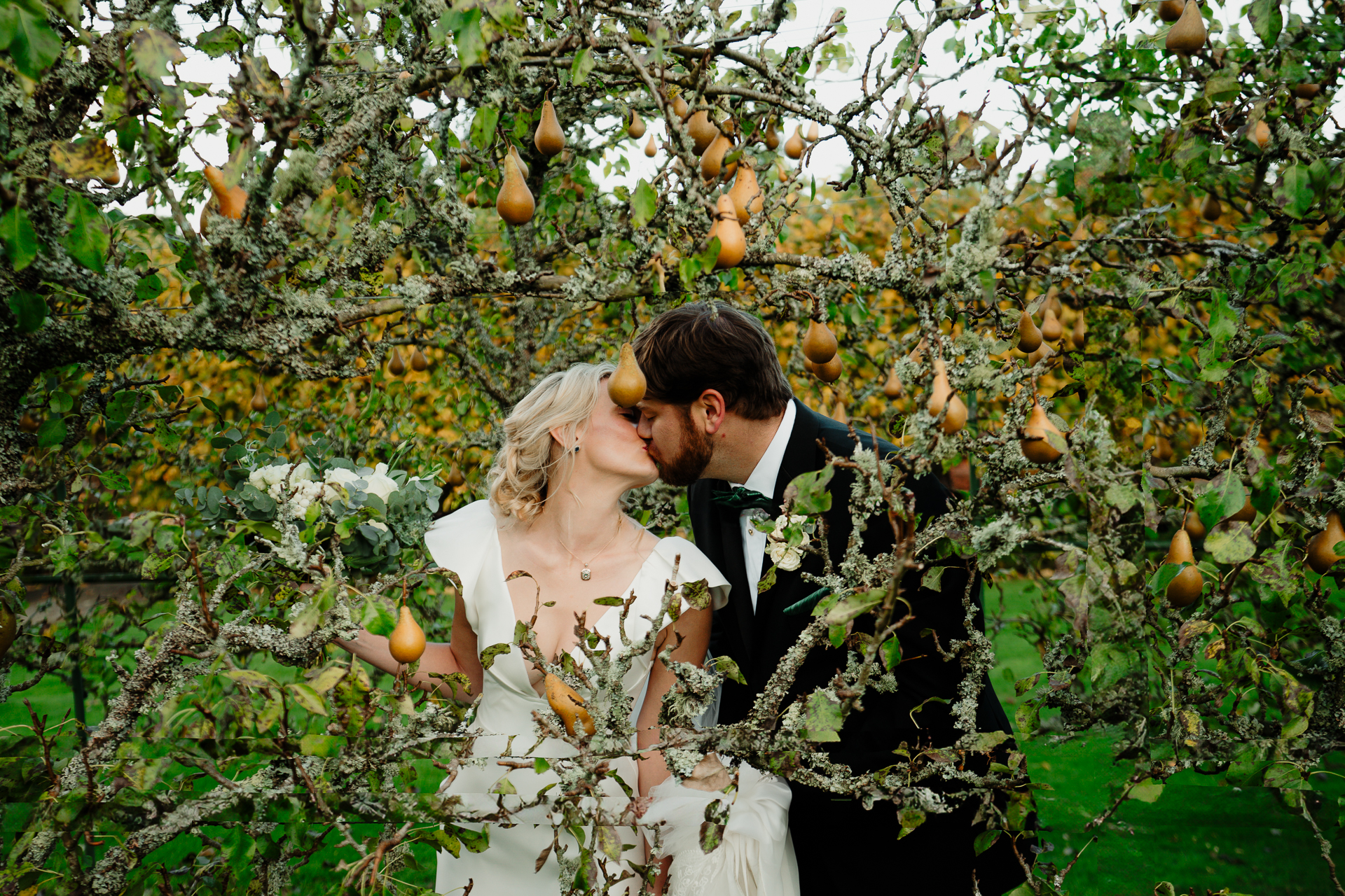 A man and woman kissing in a tree