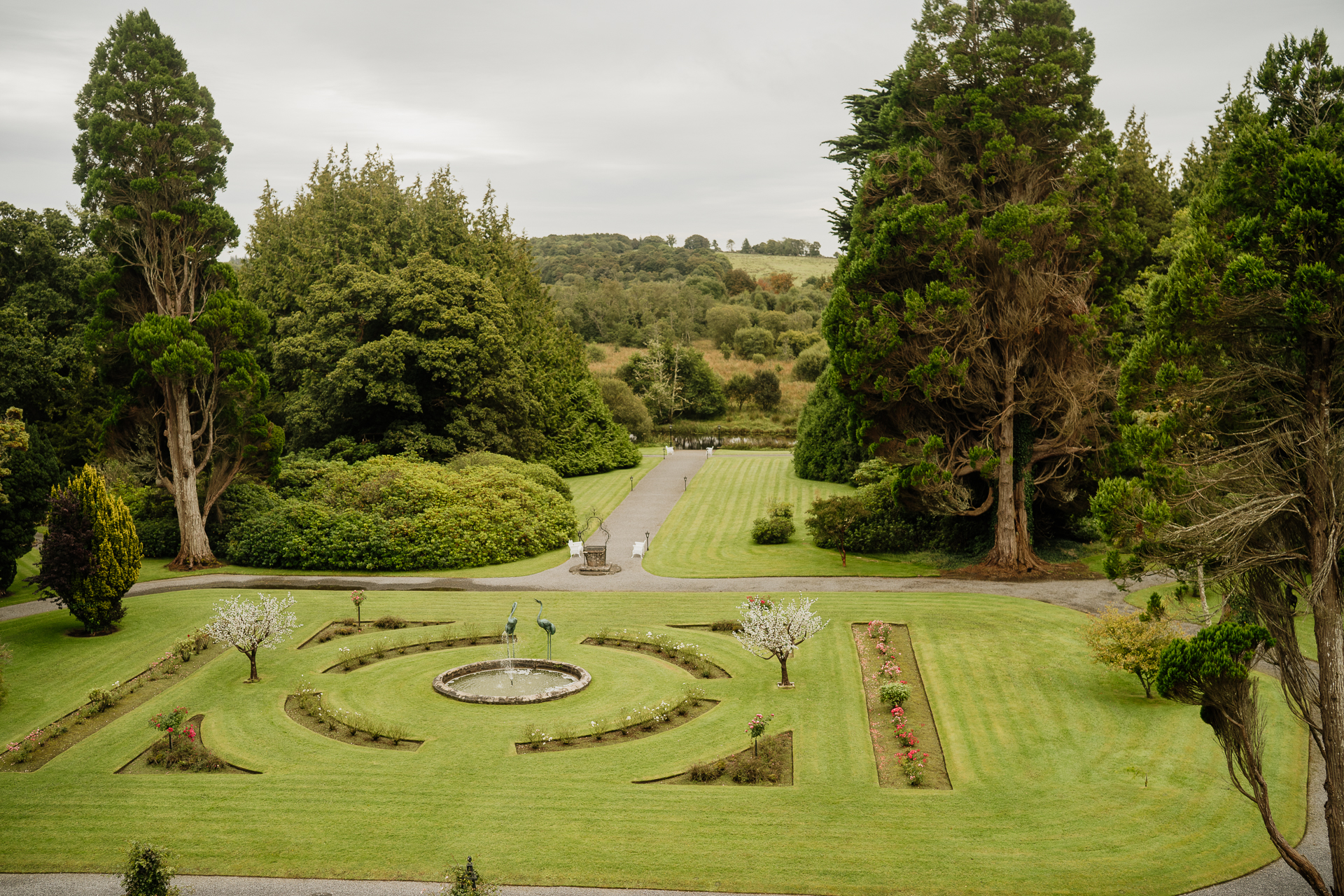 A golf course with trees and bushes