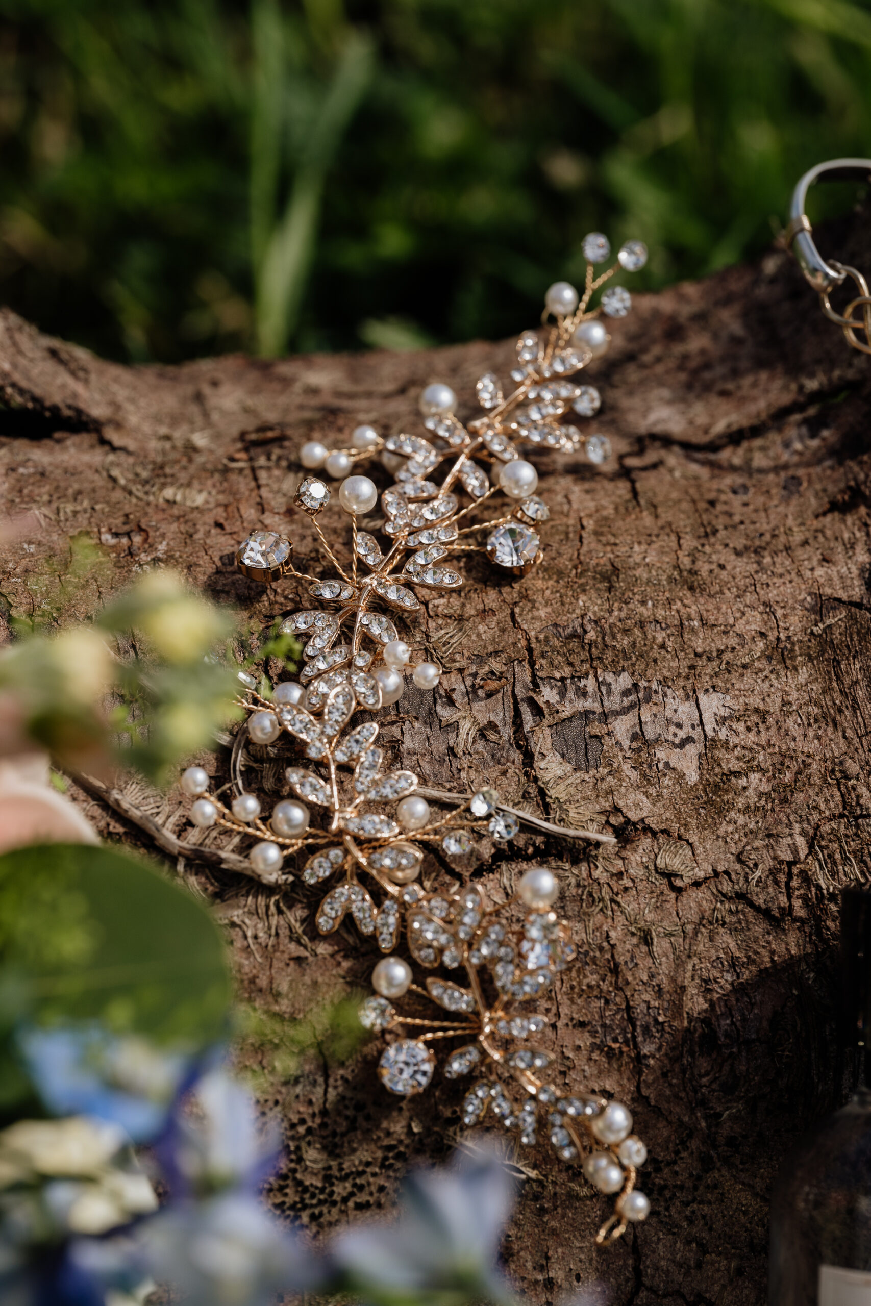 A close up of a tree branch