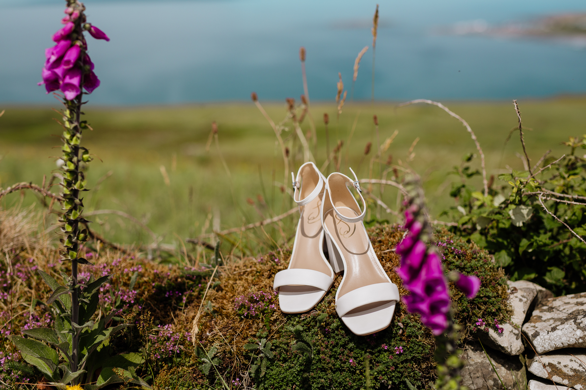 A pair of shoes on a rock