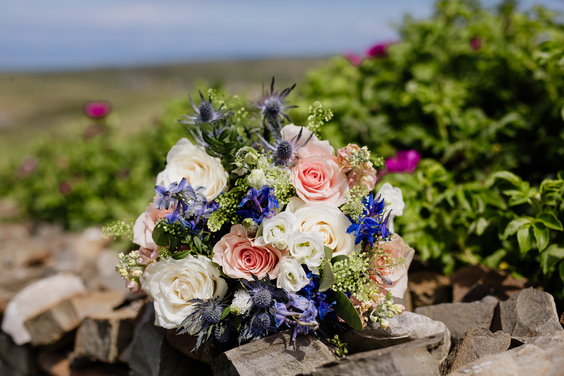 A bouquet of flowers