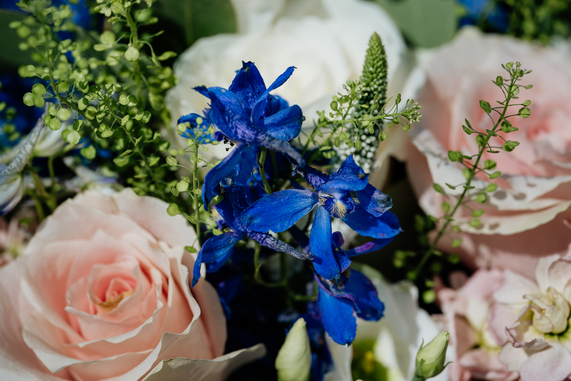 A bouquet of flowers