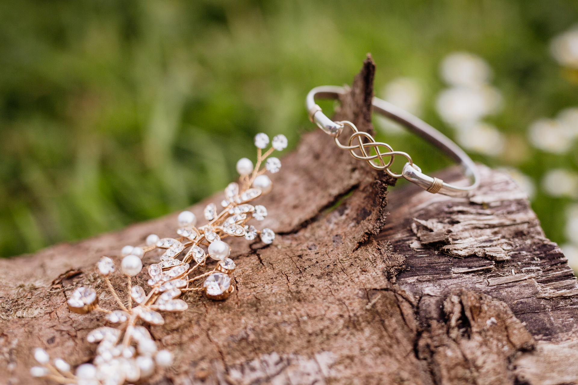 A close-up of a branch with white flowers