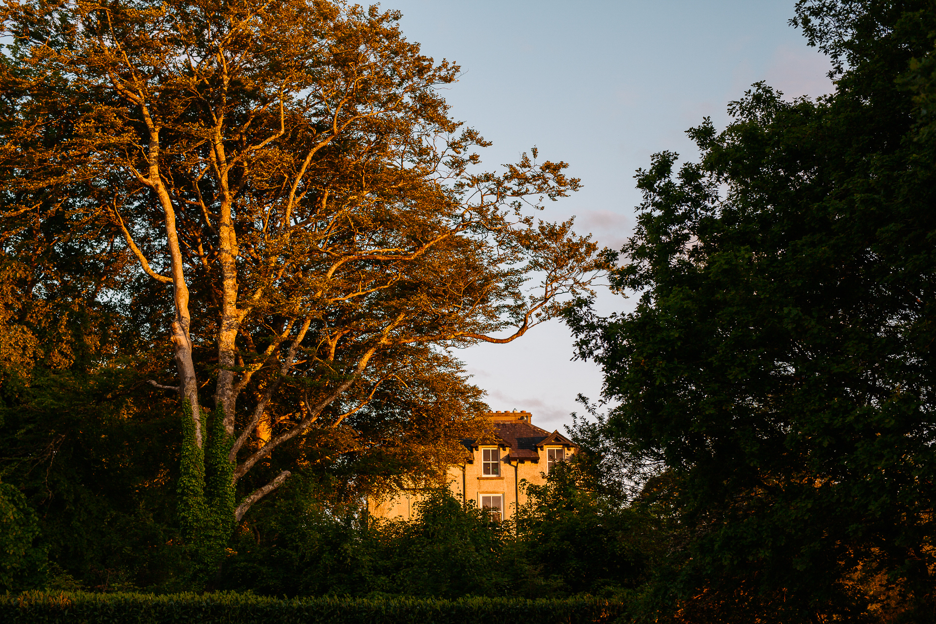 A house surrounded by trees