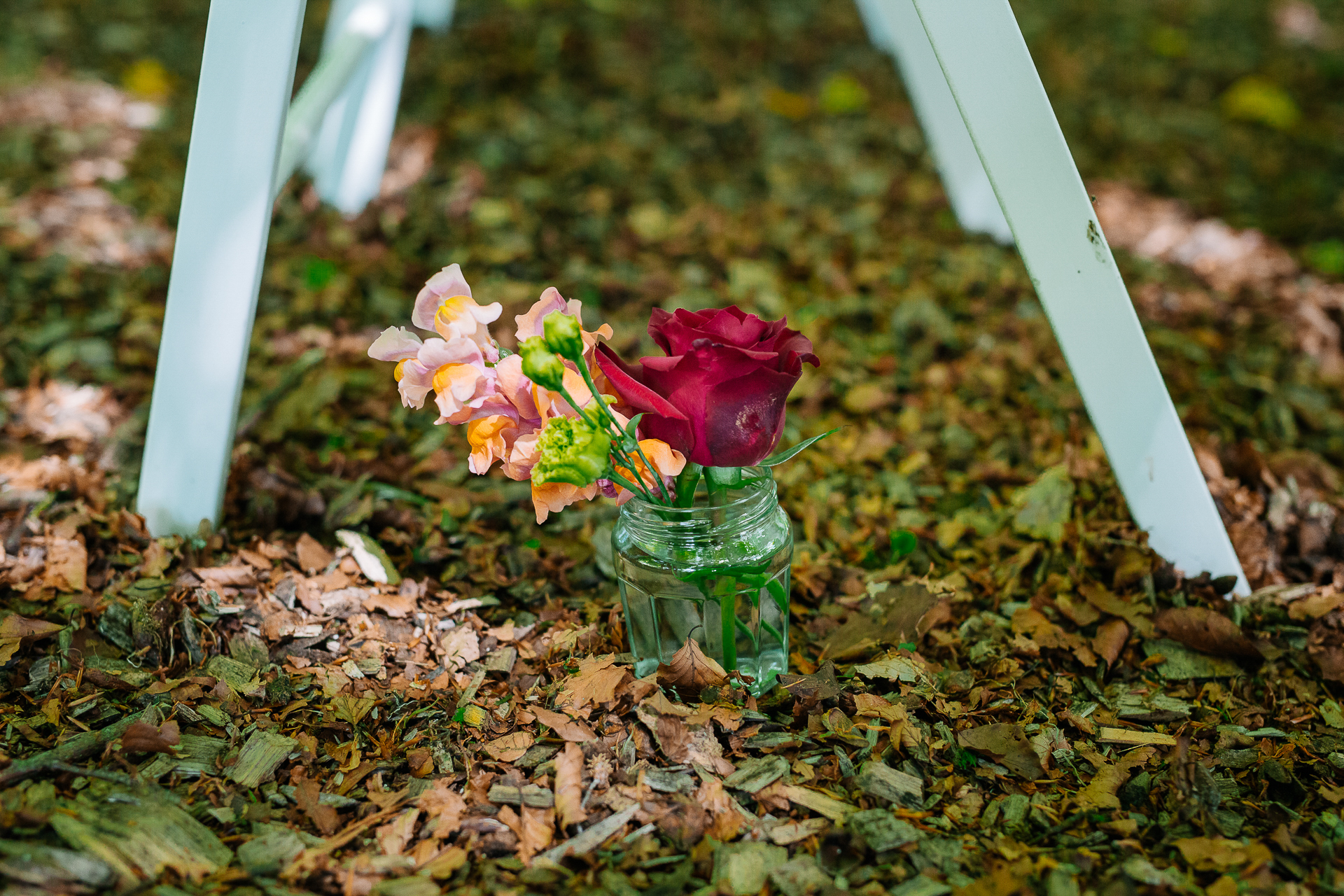 A rose in a jar