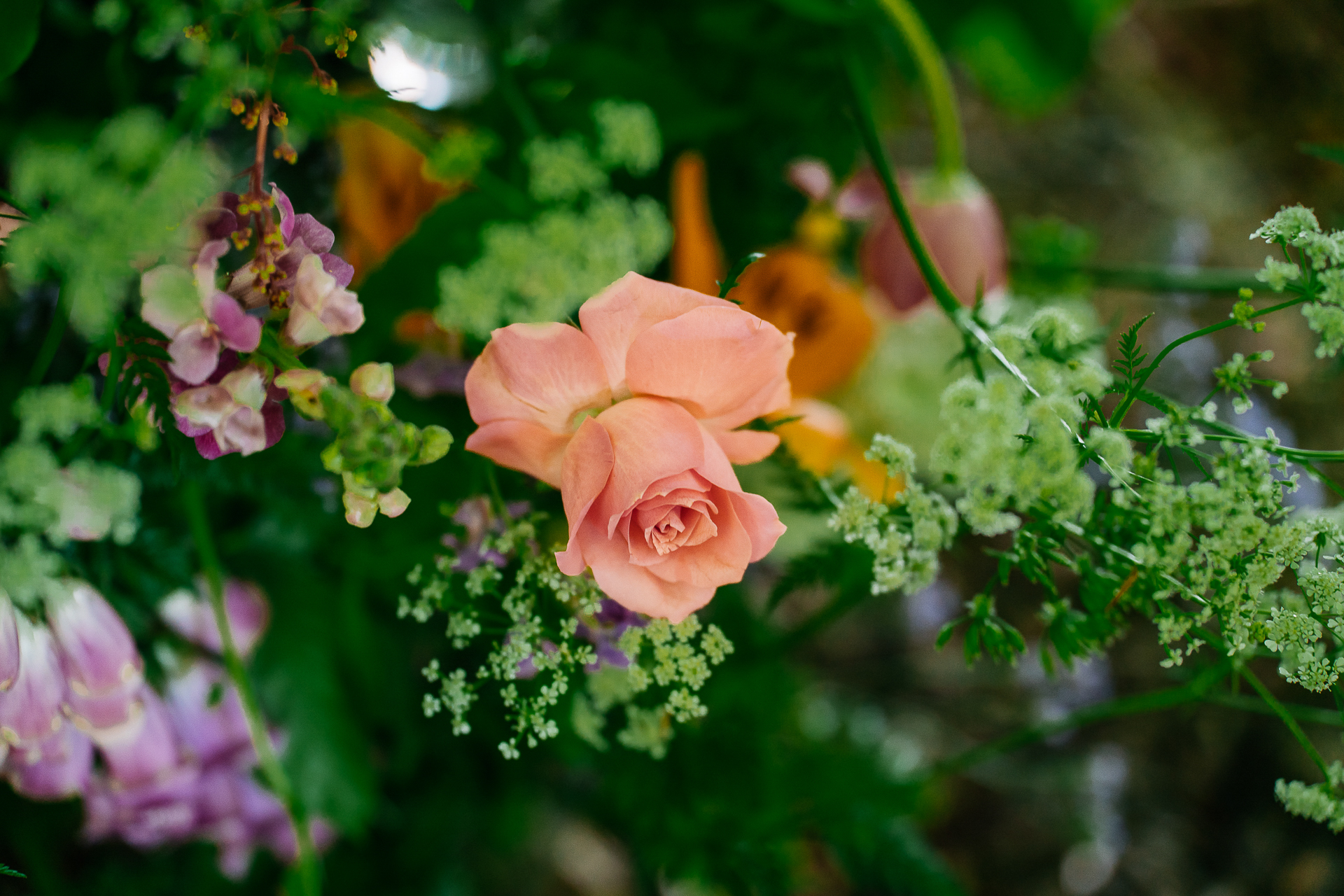 A group of flowers