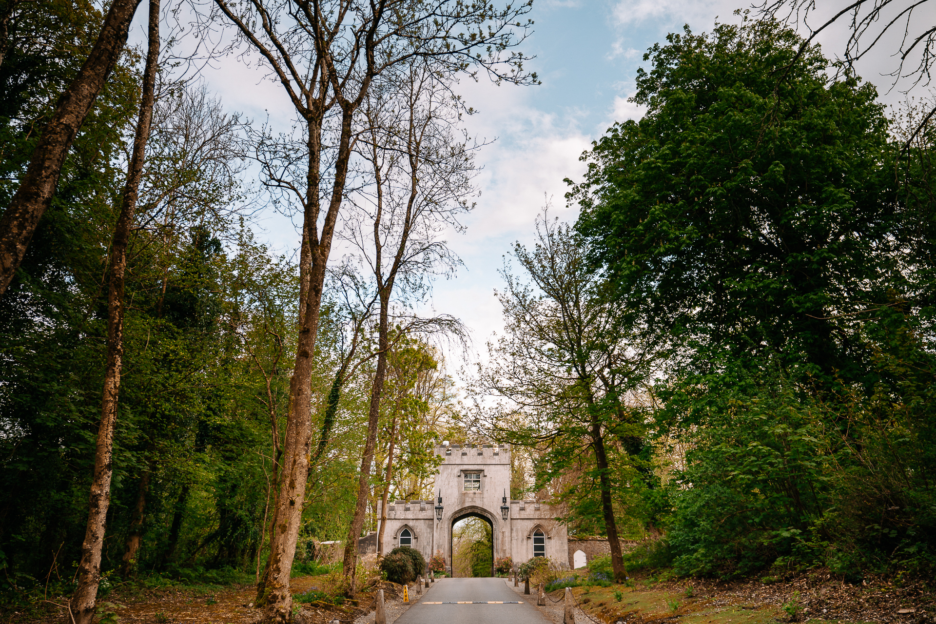 A road with trees on the side