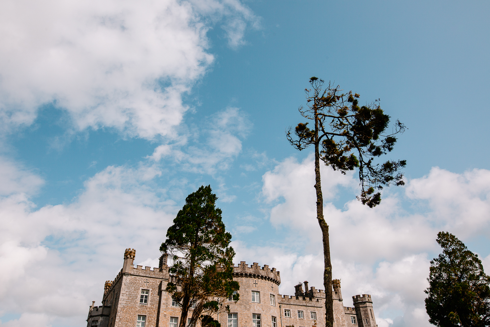 A building with trees in front of it