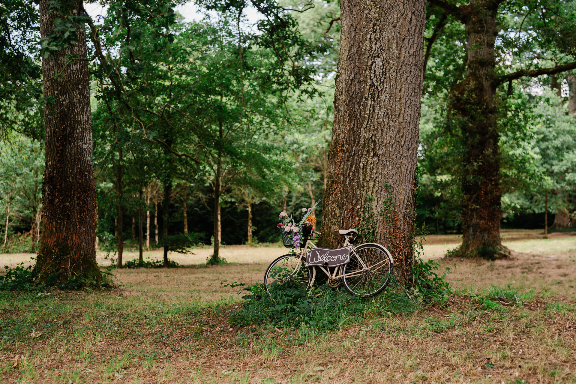 A bicycle with flowers in a park