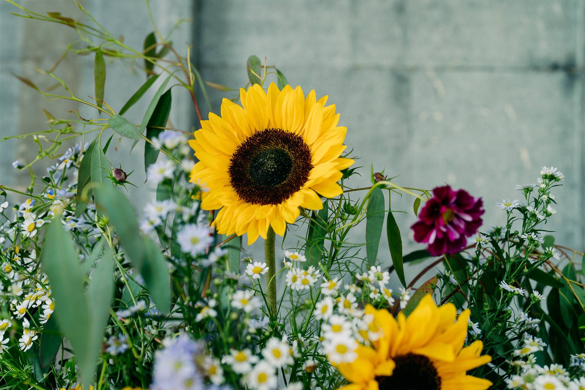 A yellow flower surrounded by flowers