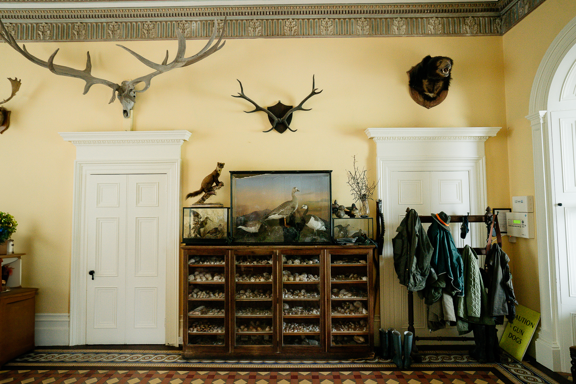 A room with a wood cabinet and a wall with art on it