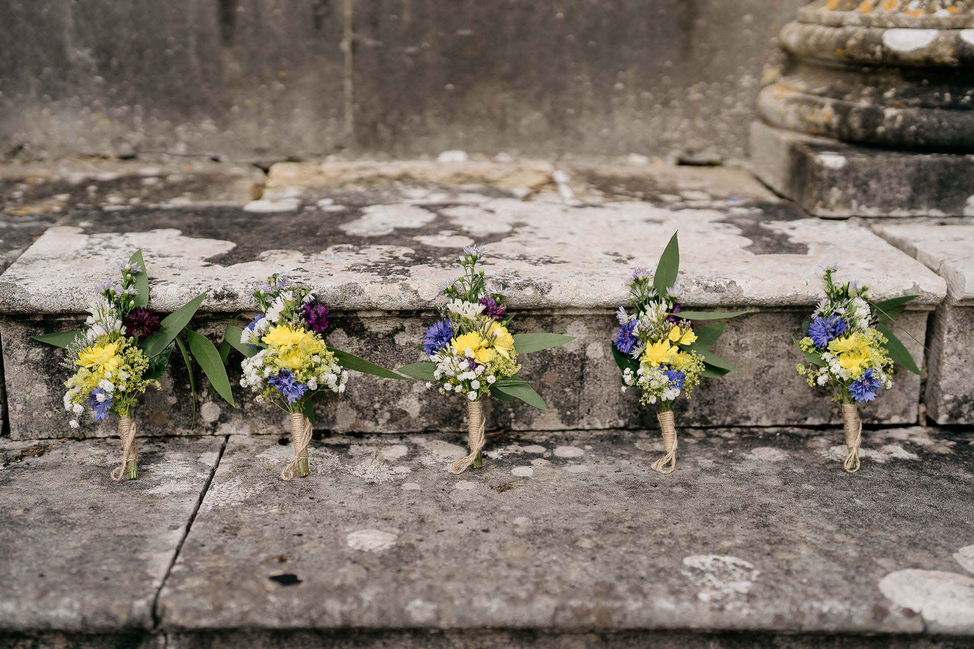 Flowers growing on a wall