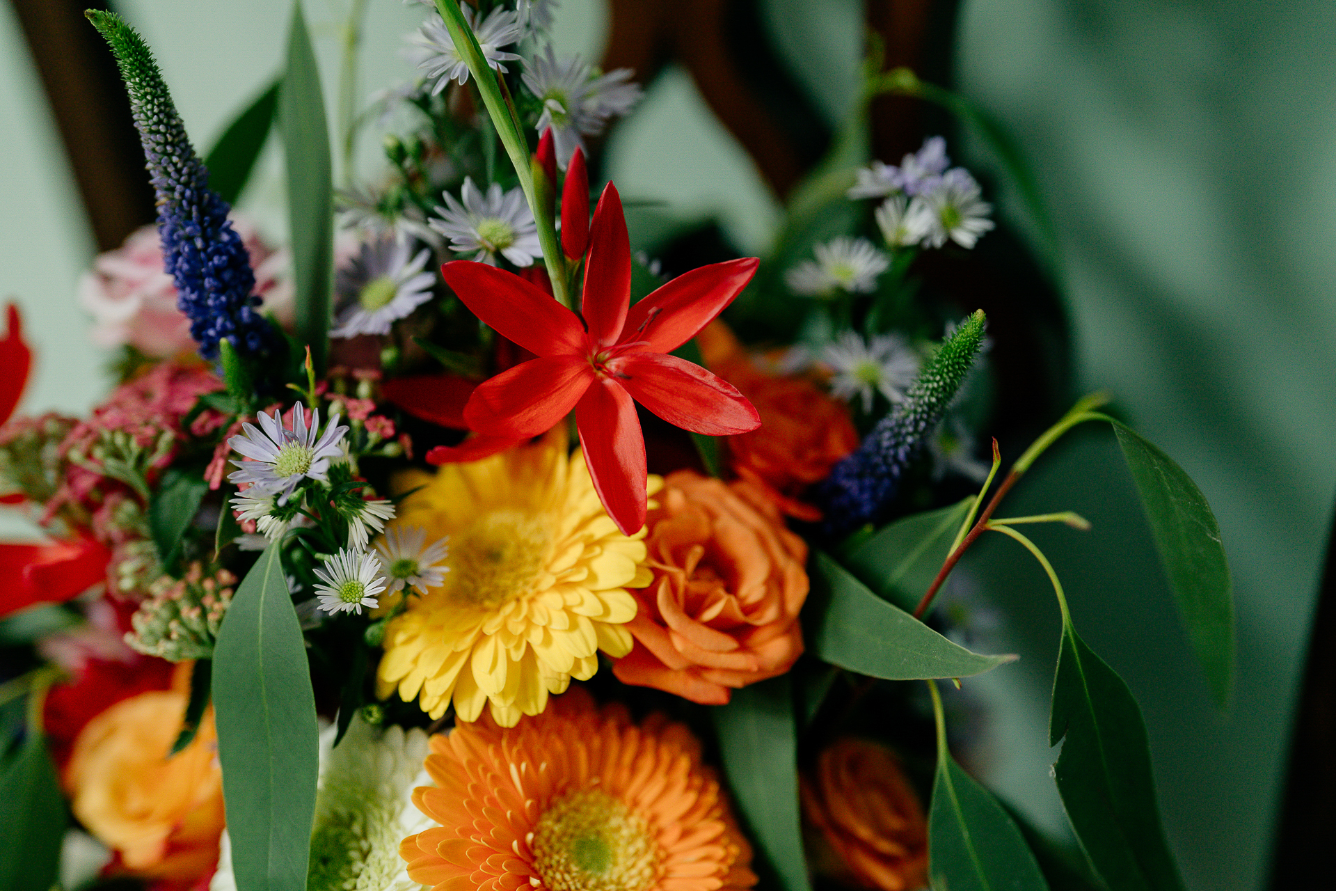 A bouquet of colorful flowers