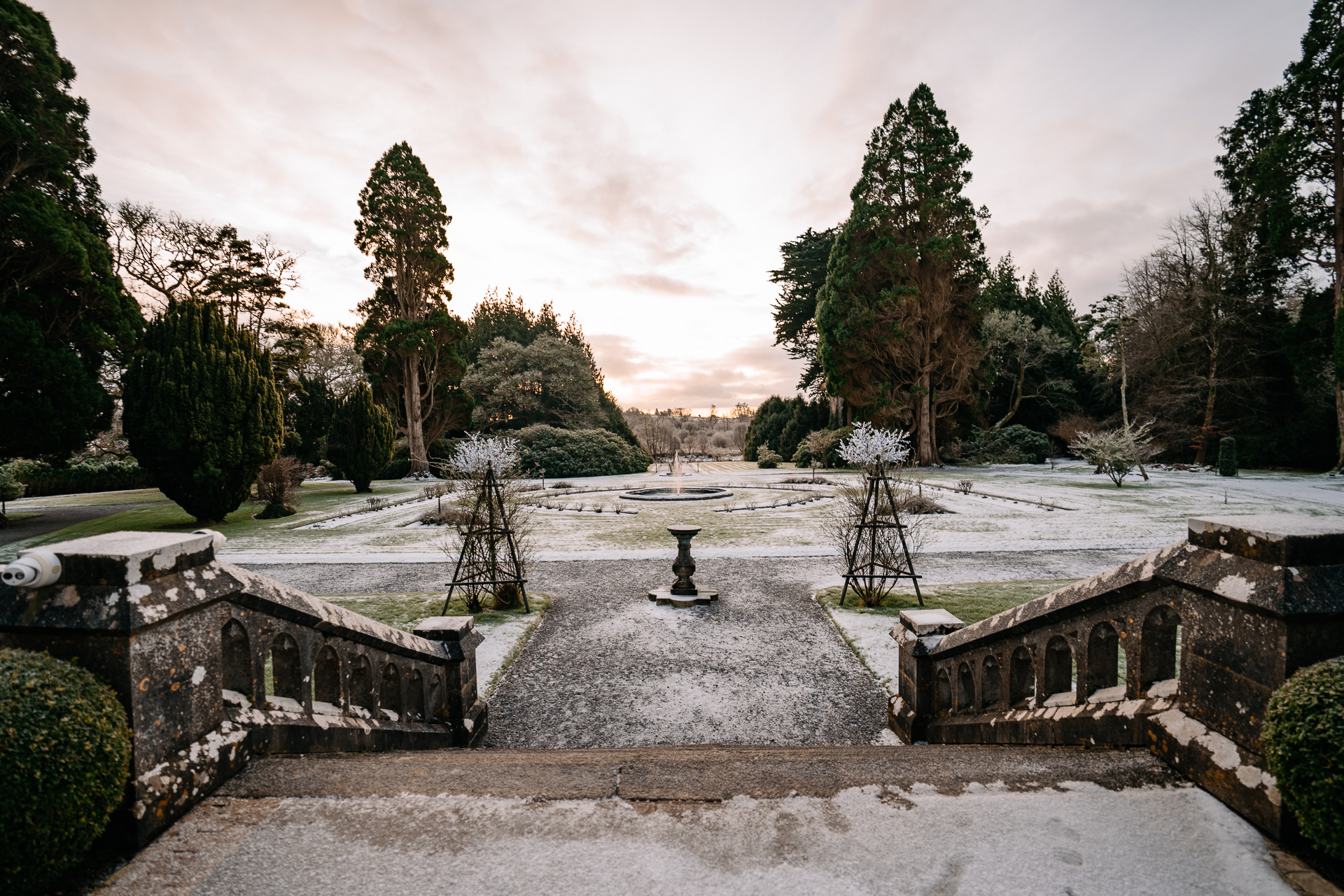 A courtyard with trees and a fountain