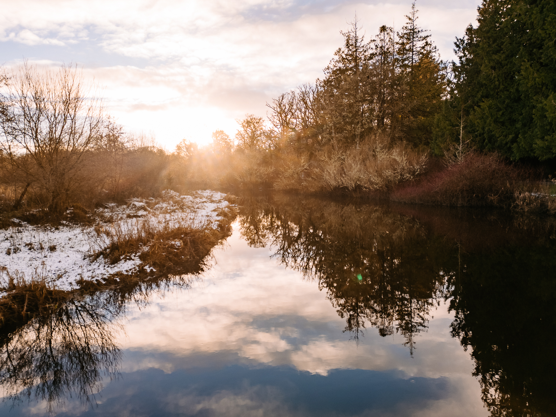 A body of water with trees around it