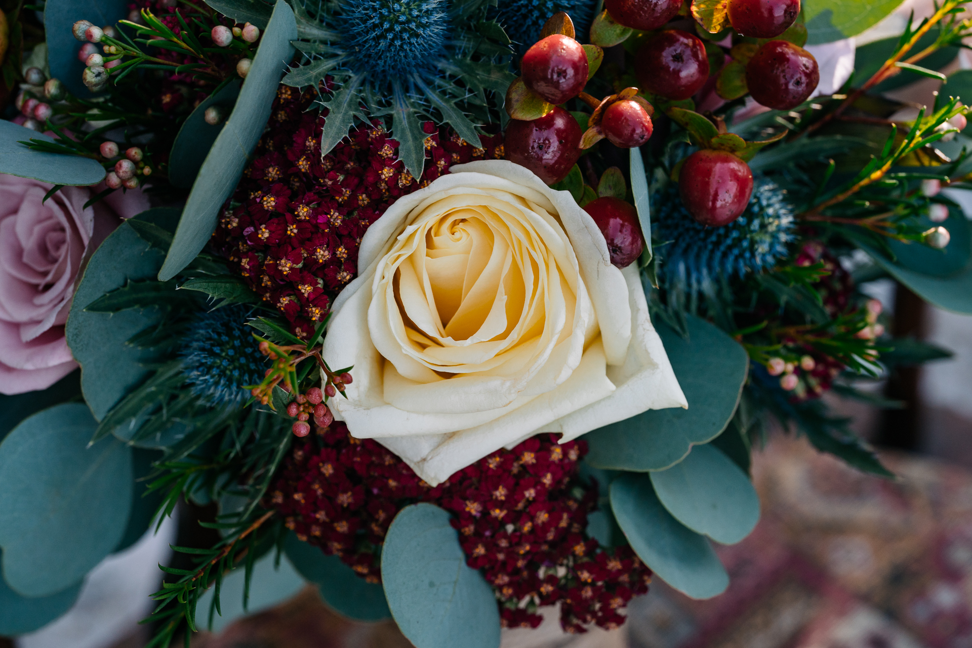 A yellow rose surrounded by berries