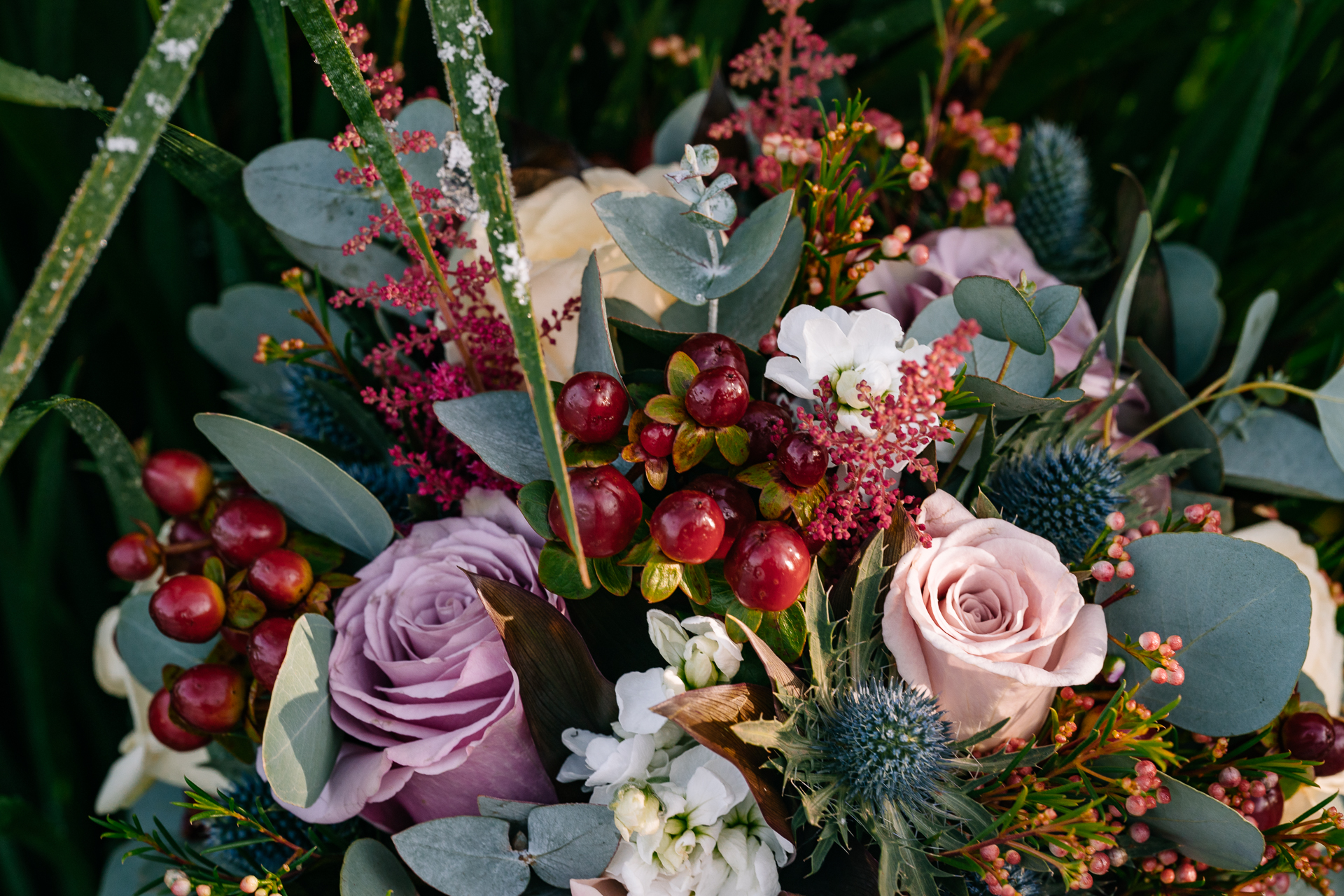 A close up of flowers