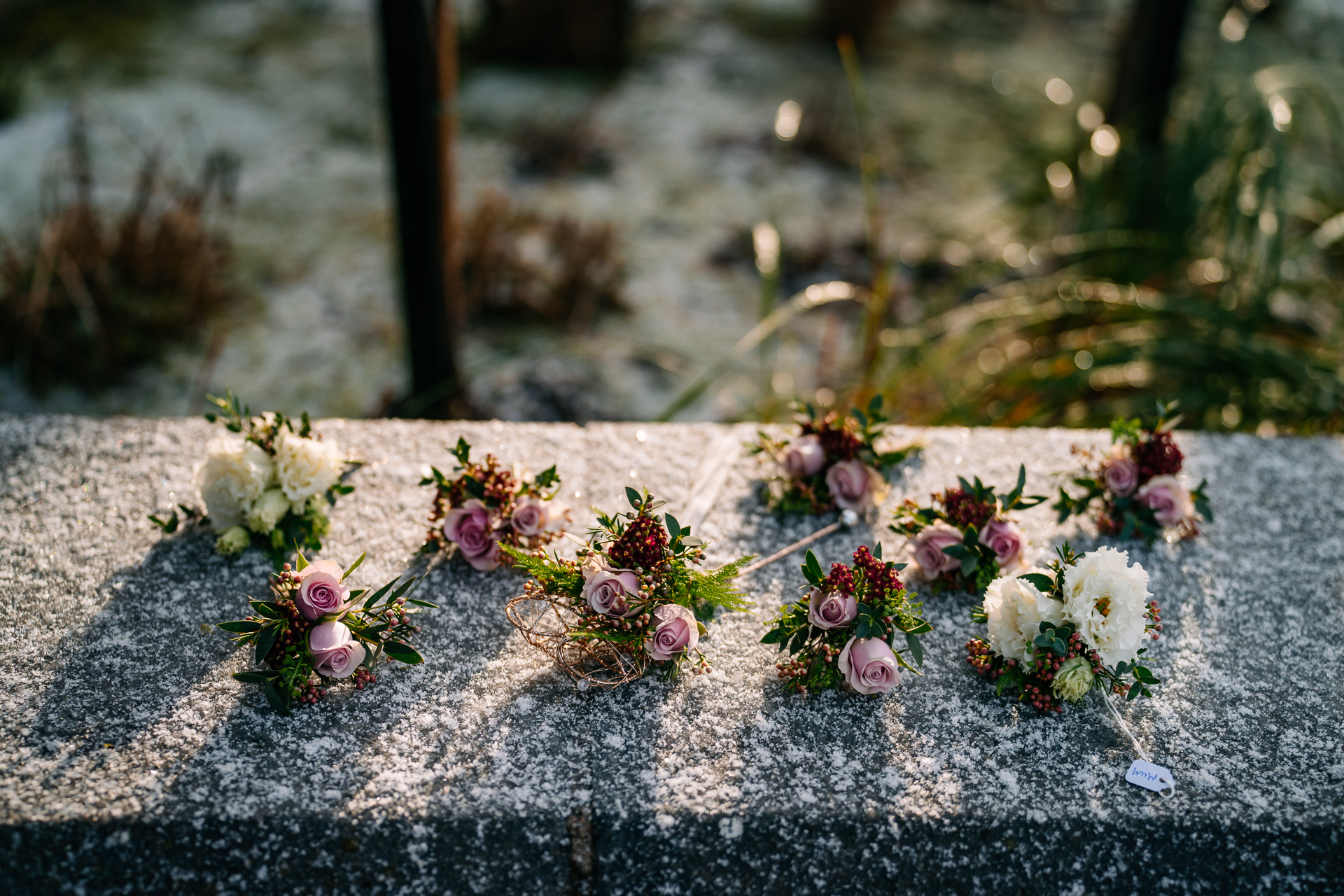 A bouquet of flowers