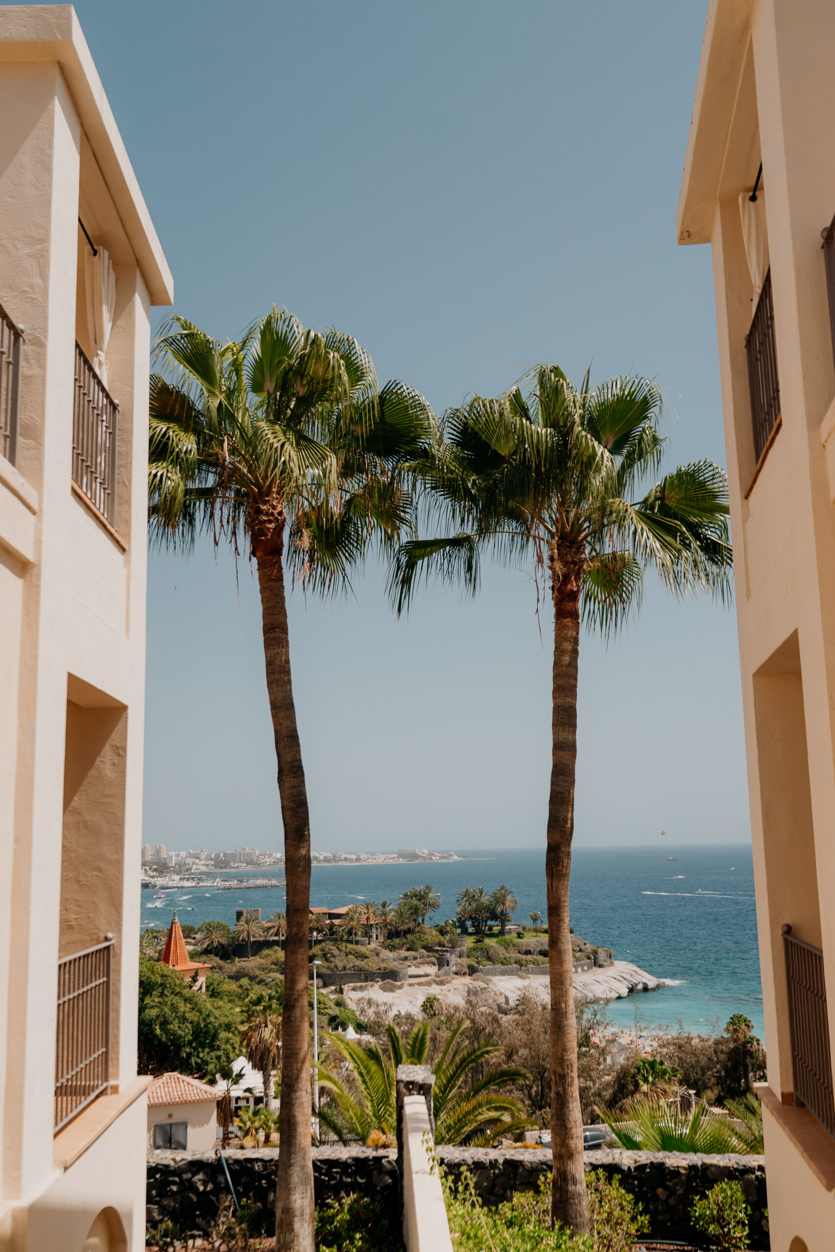 A building with palm trees and a body of water in the background