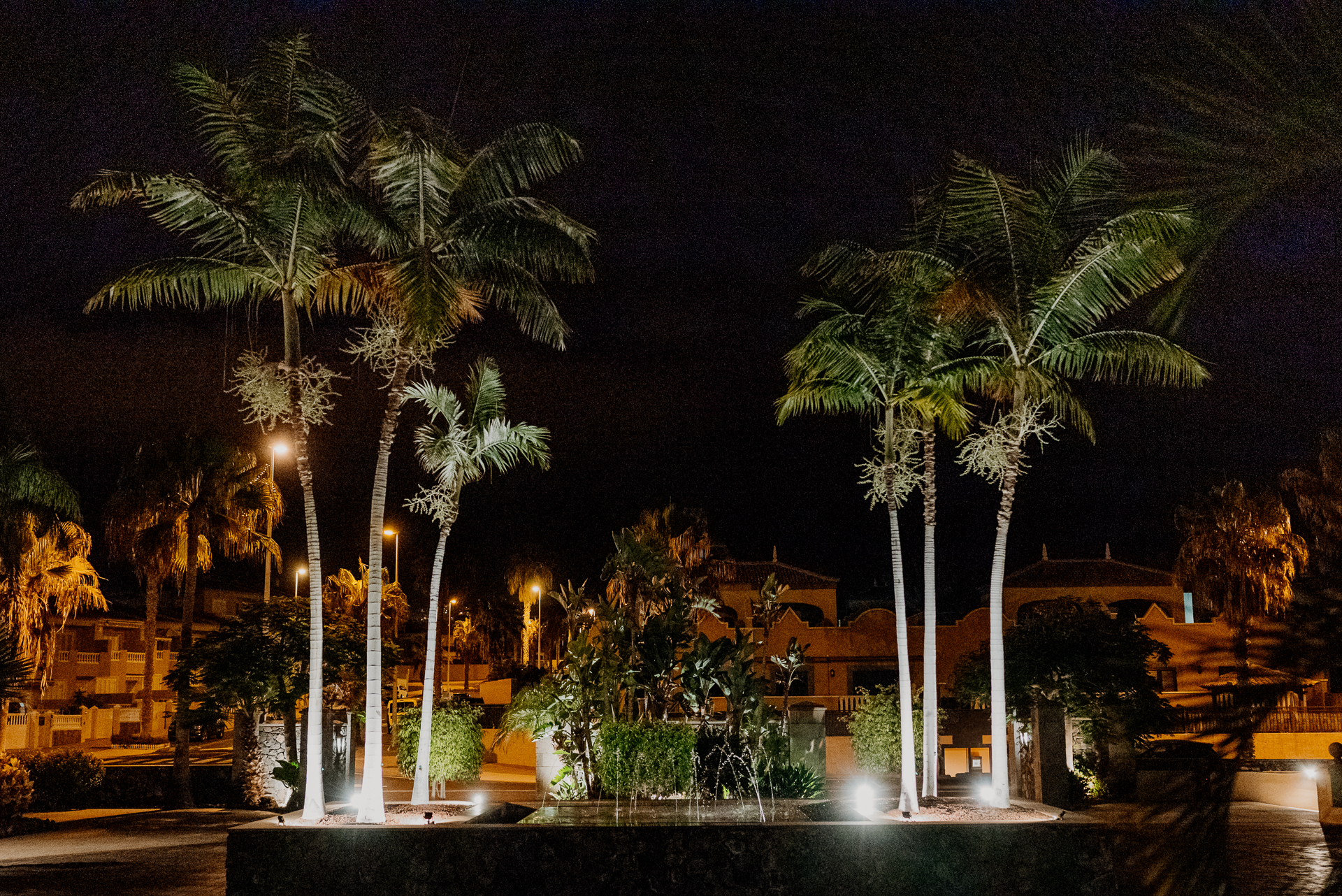 A fountain with palm trees and a building in the background