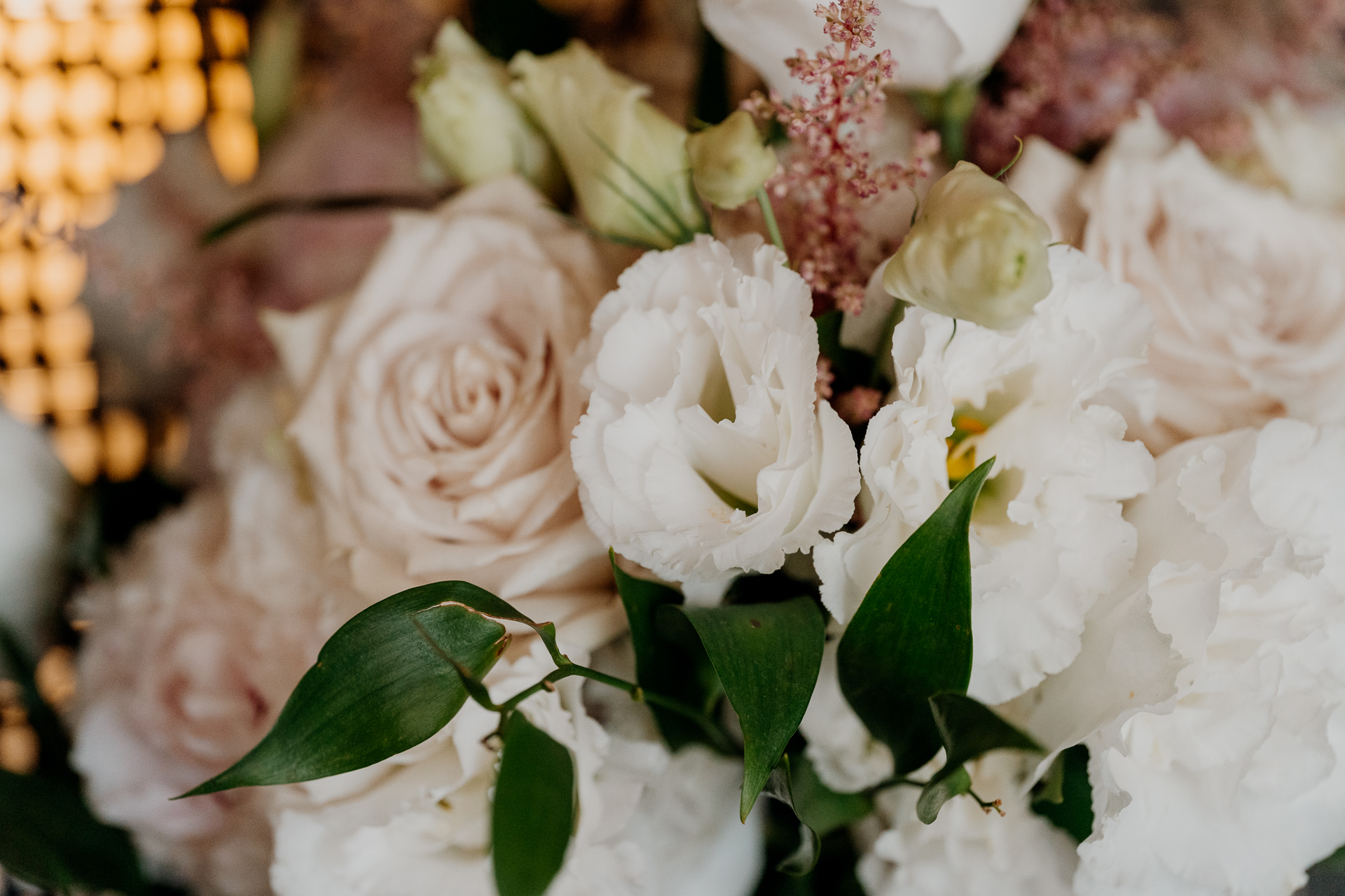 A close up of white flowers